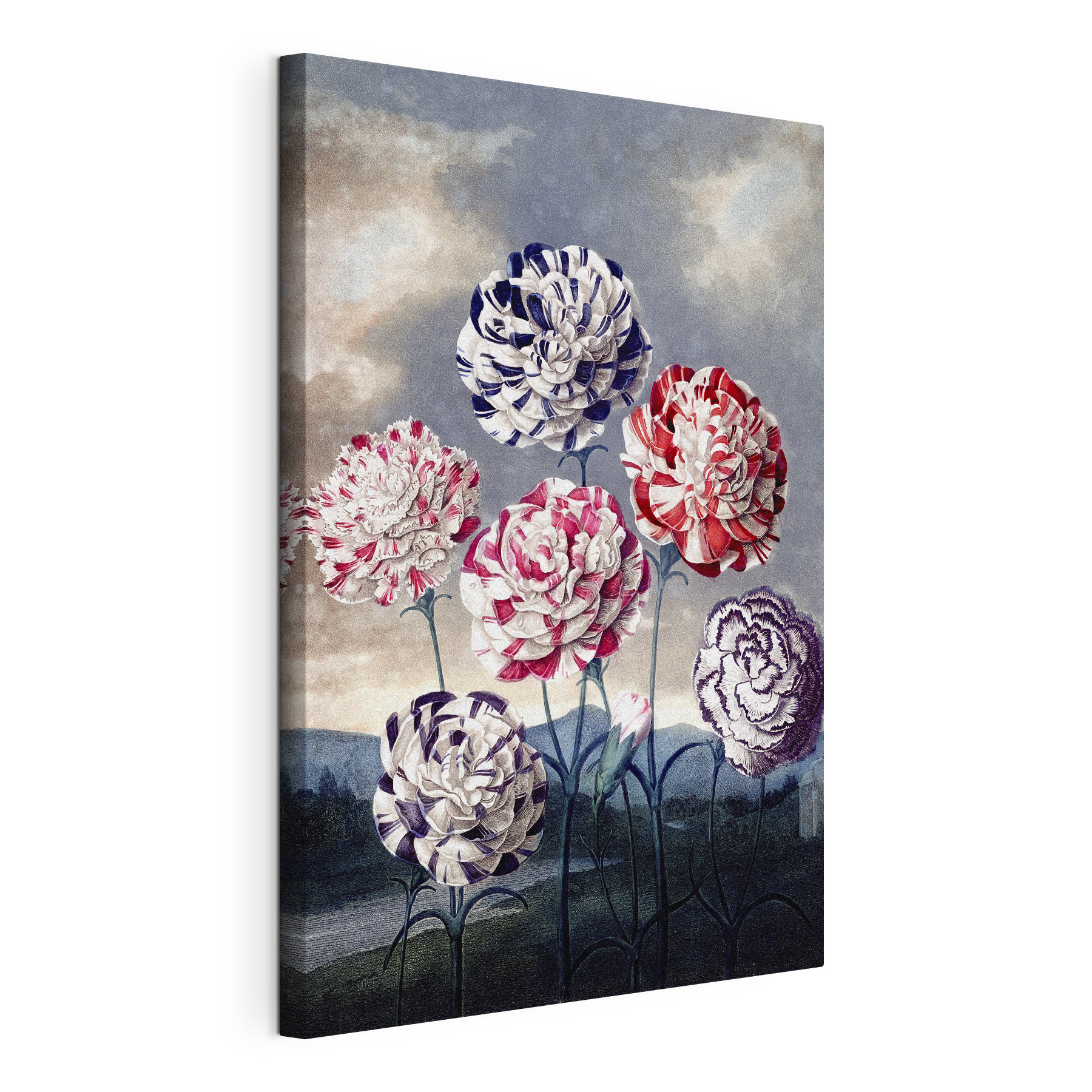 A group of flowers with blue sky and clouds
