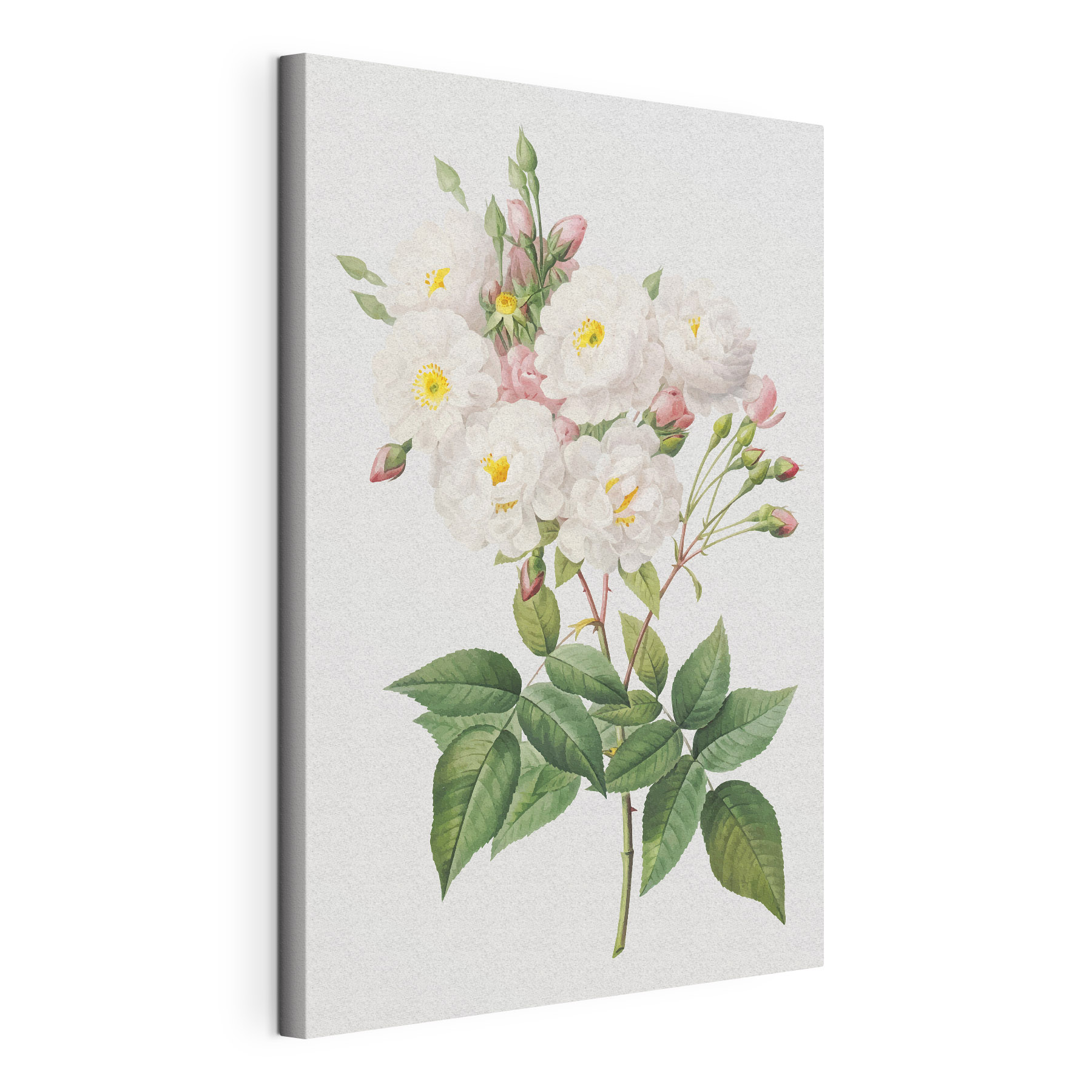 Delicate flowers in soft pastel hues