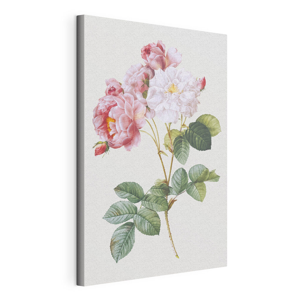 Beautiful bouquet of blooming roses Beautiful bouquet of blooming roses