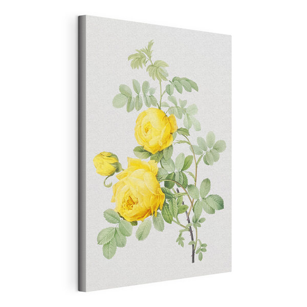 Quadri Quadri Un fiore giallo su un ramo (COD: s37680)
