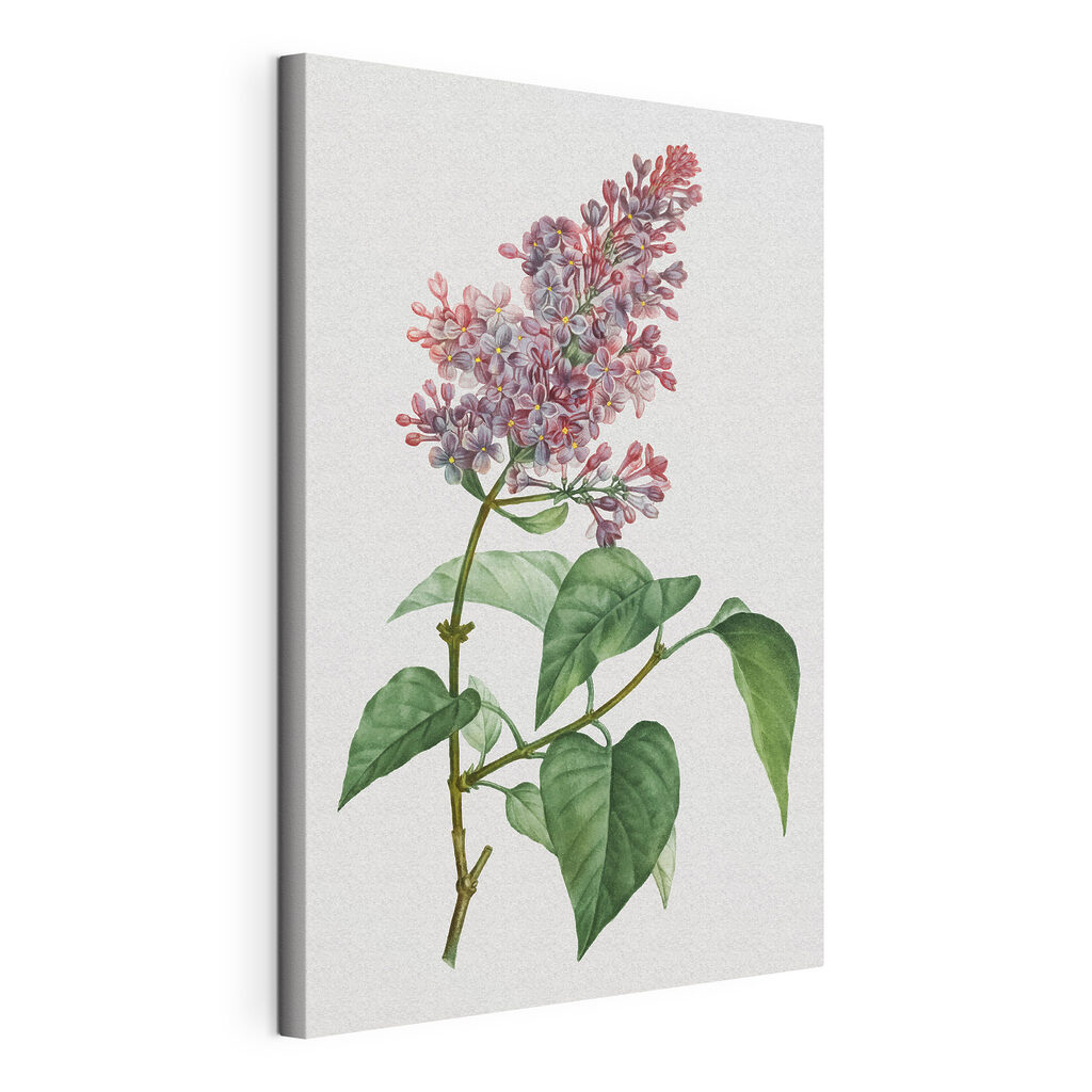 Delicate lilac blossoms on a branch Delicate lilac blossoms on a branch