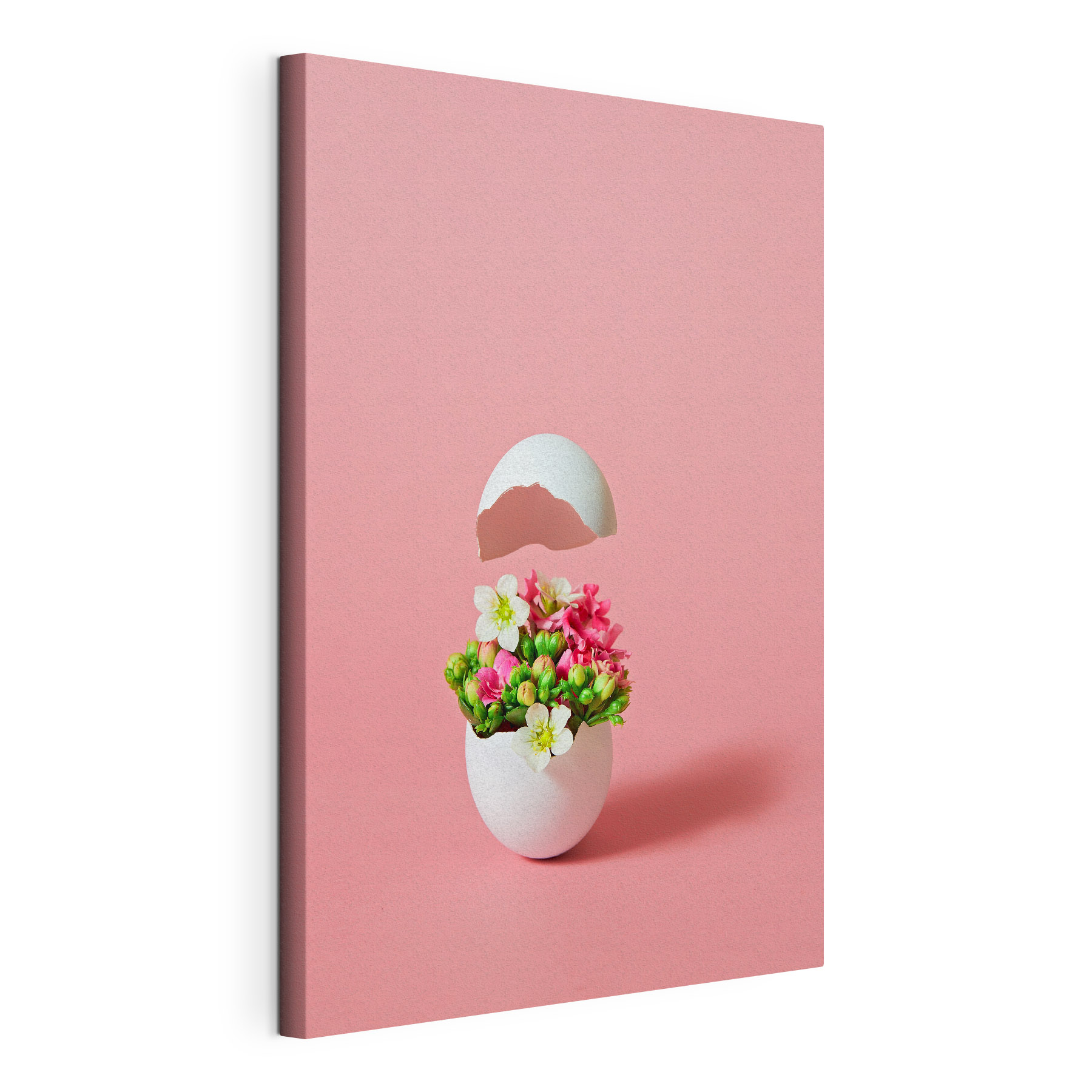 A flower in an egg shell A flower in an egg shell