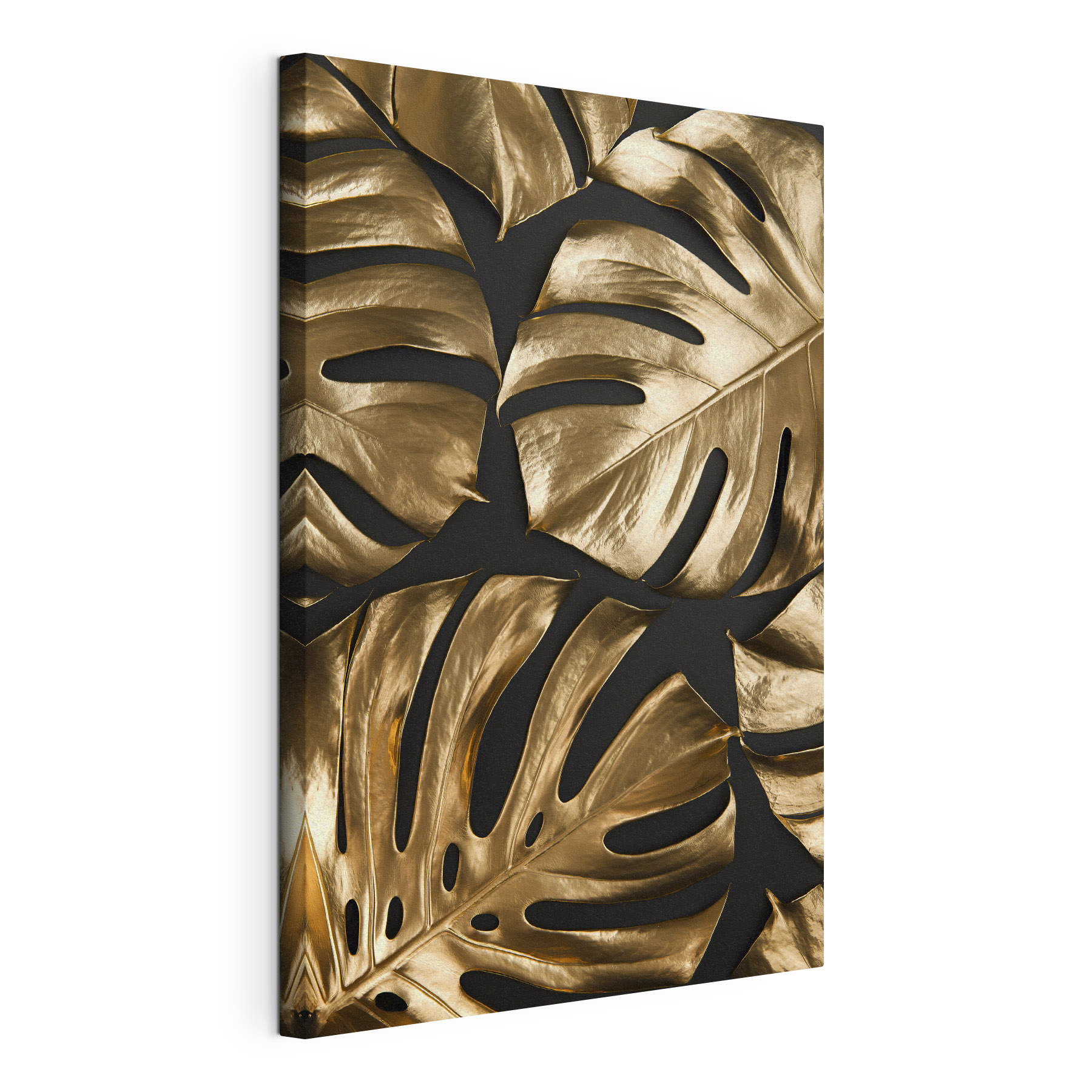 Elegant leaves on a dark background