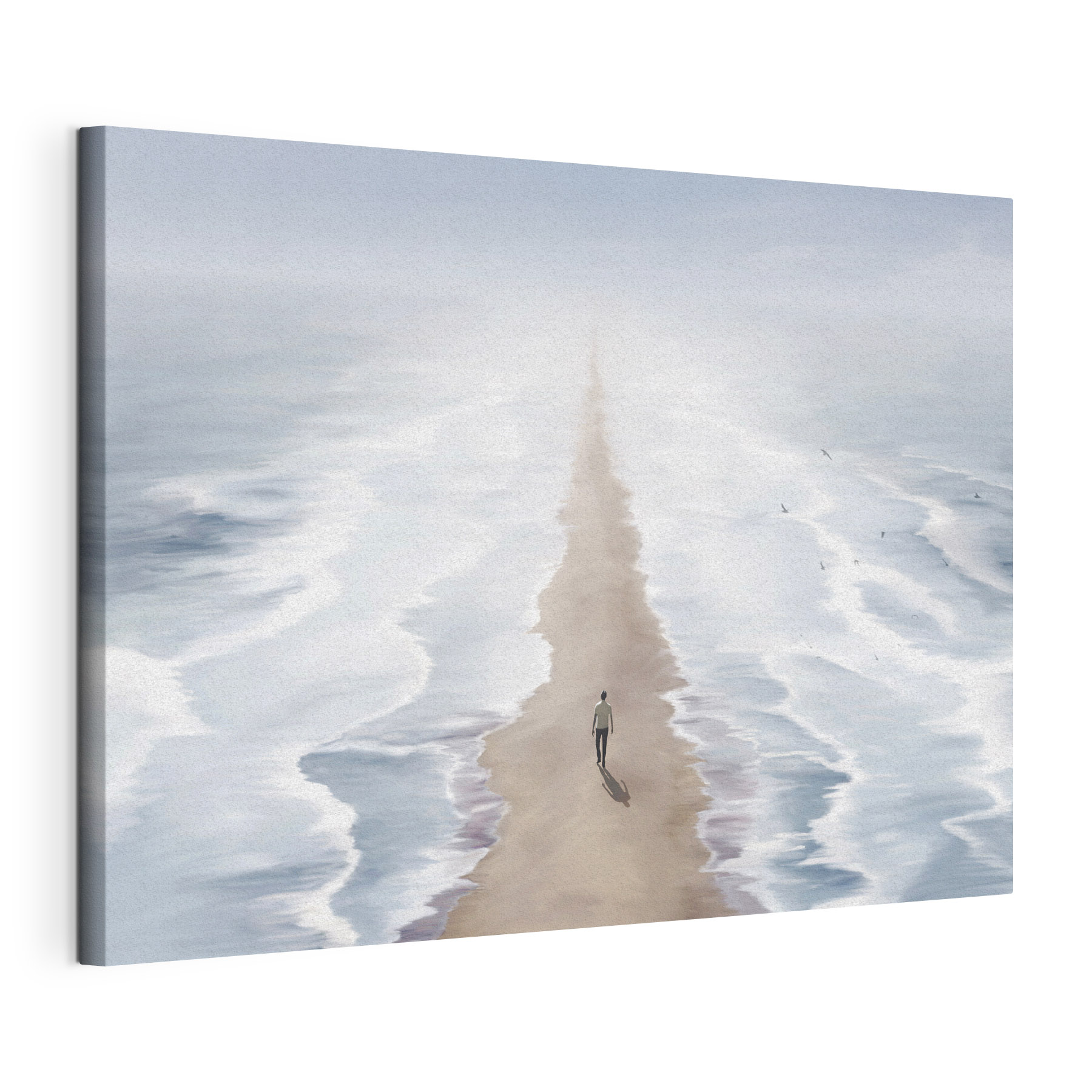 A person walking on a beach