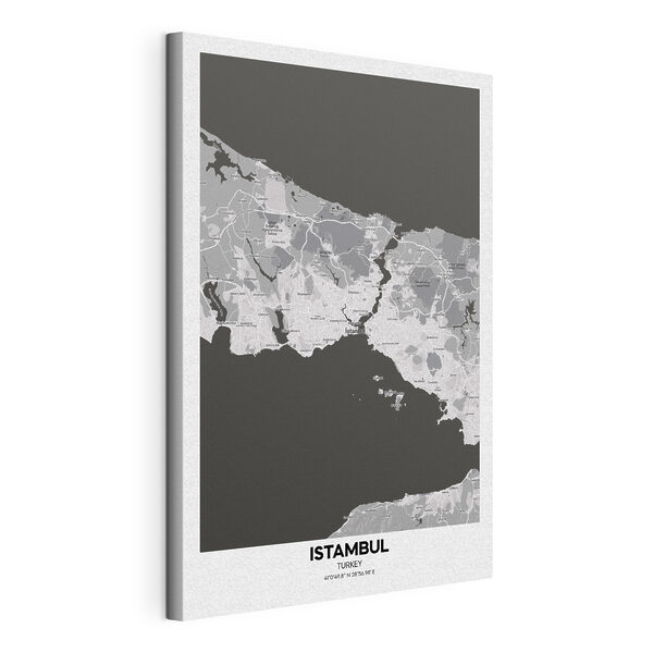 Quadri Una mappa del territorio con strade ed edifici (COD: s37863) Quadri Quadri Una mappa del territorio con strade ed edifici (COD: s37863)