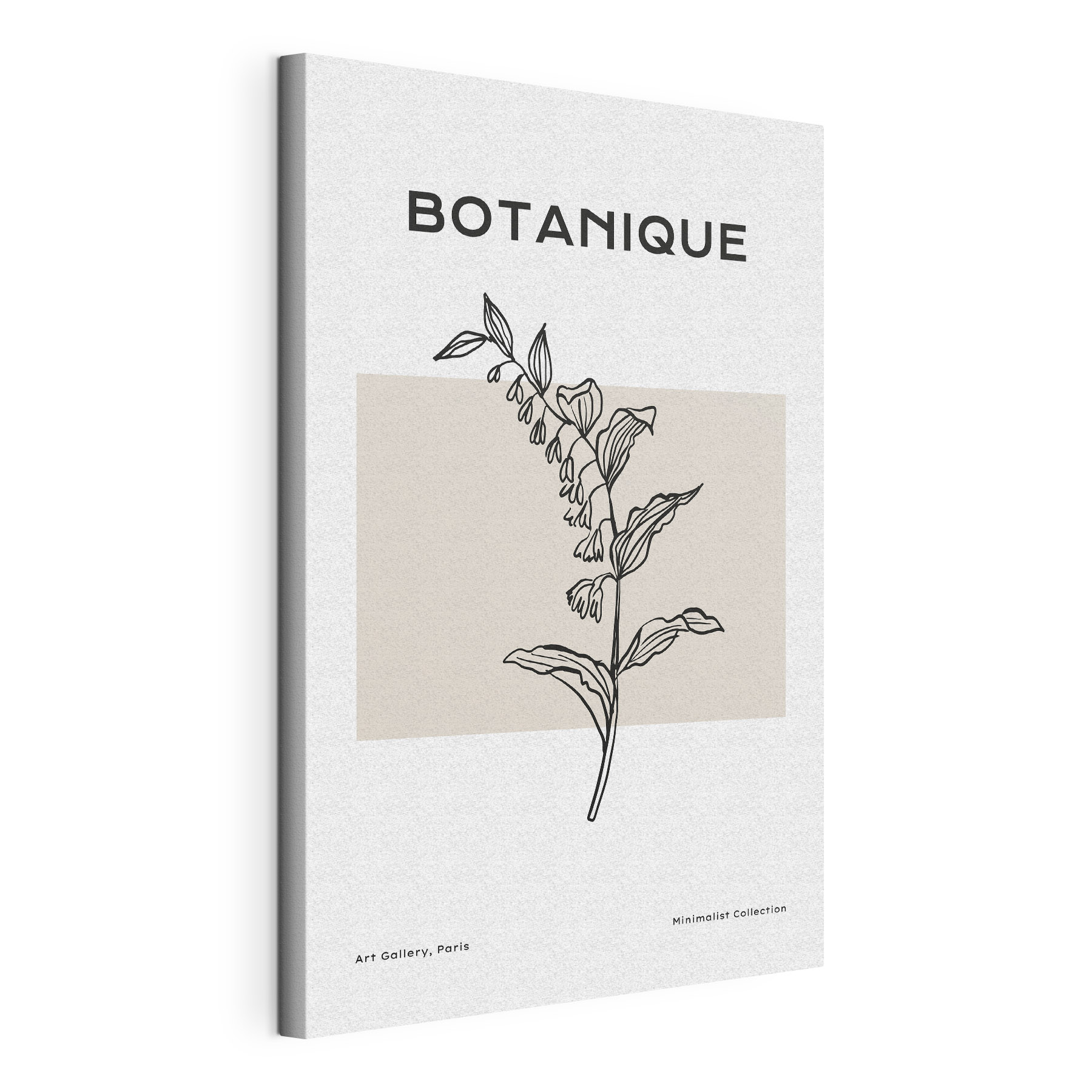 A drawing of a plant A drawing of a plant