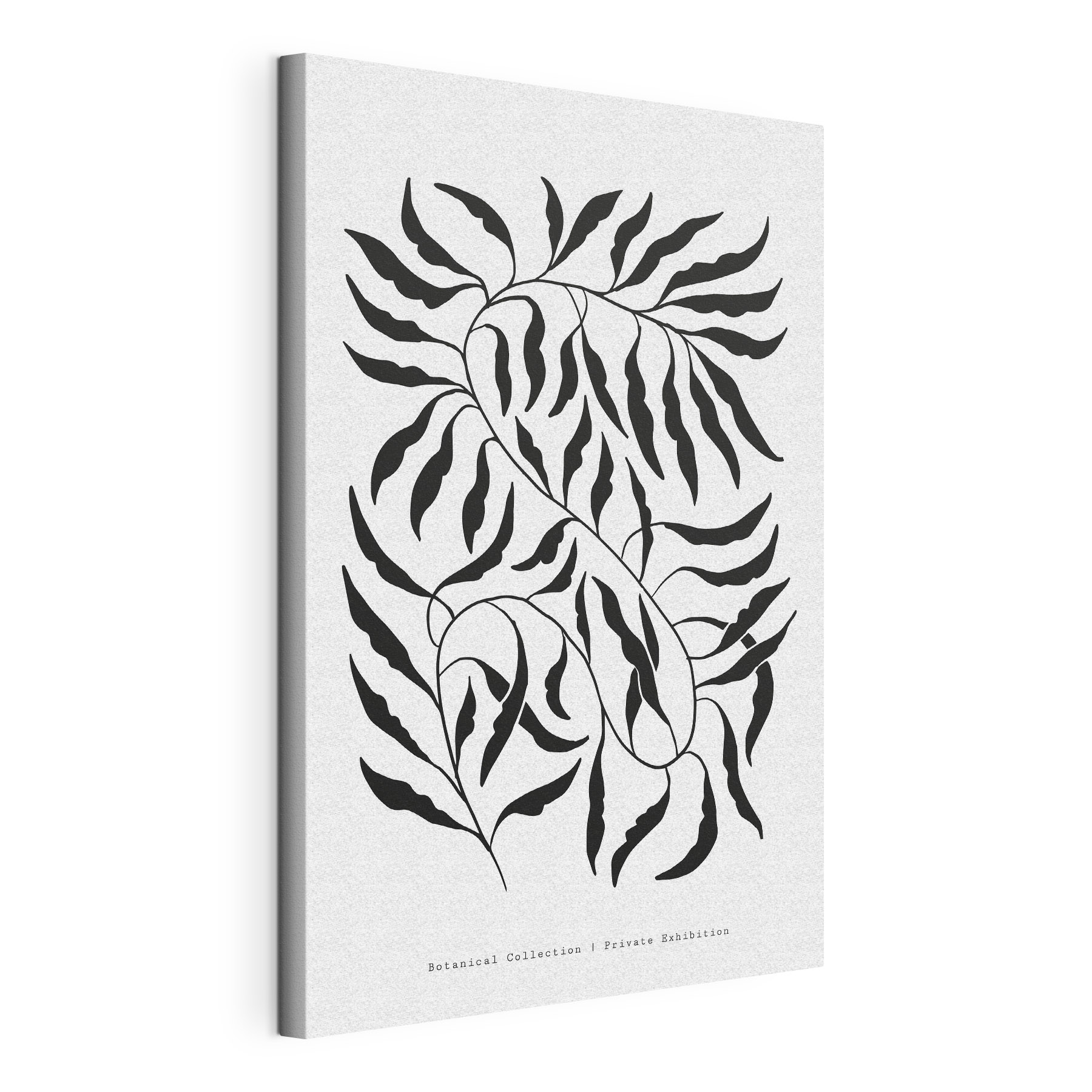 A black and white drawing of leaves A black and white drawing of leaves