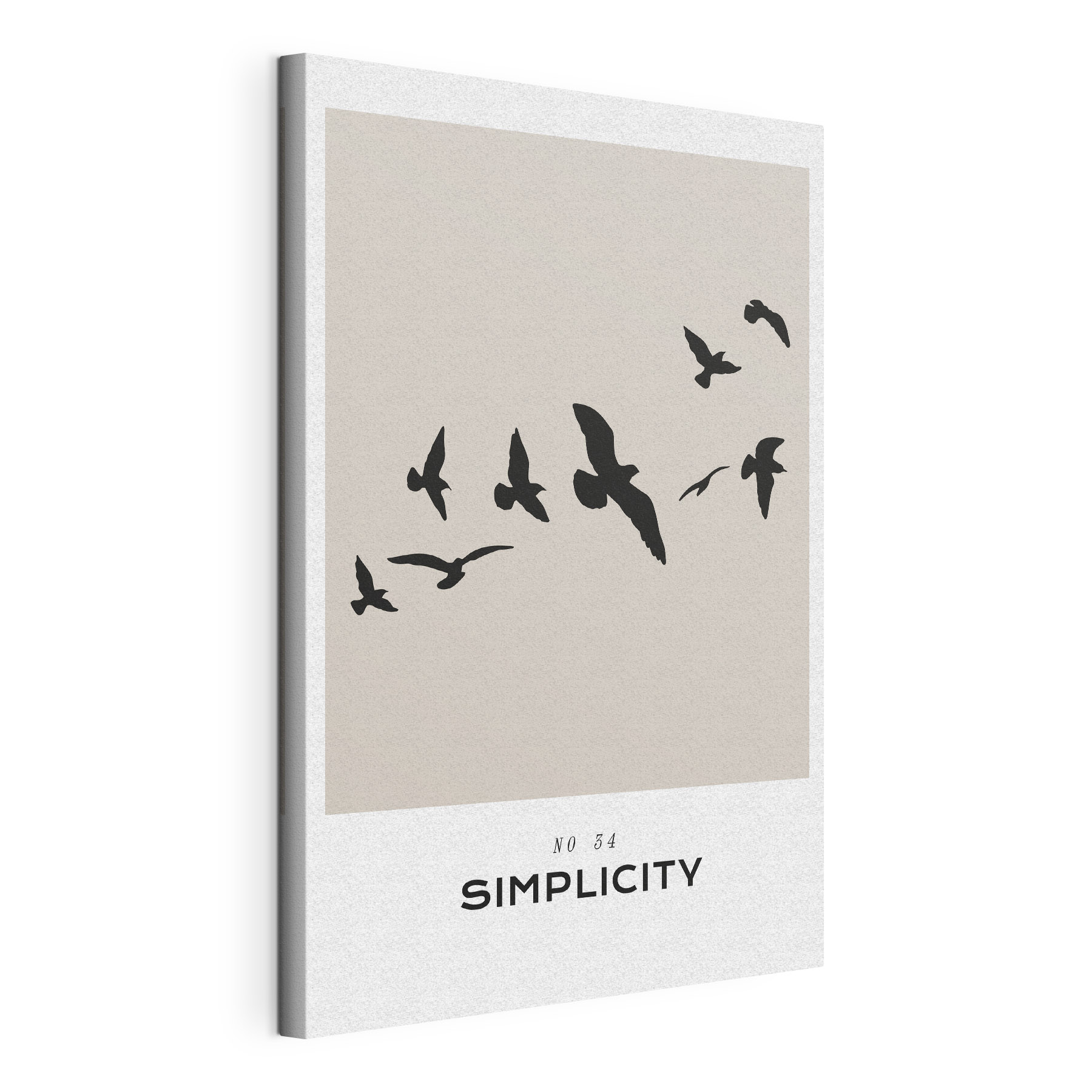 A flock of birds flying A flock of birds flying