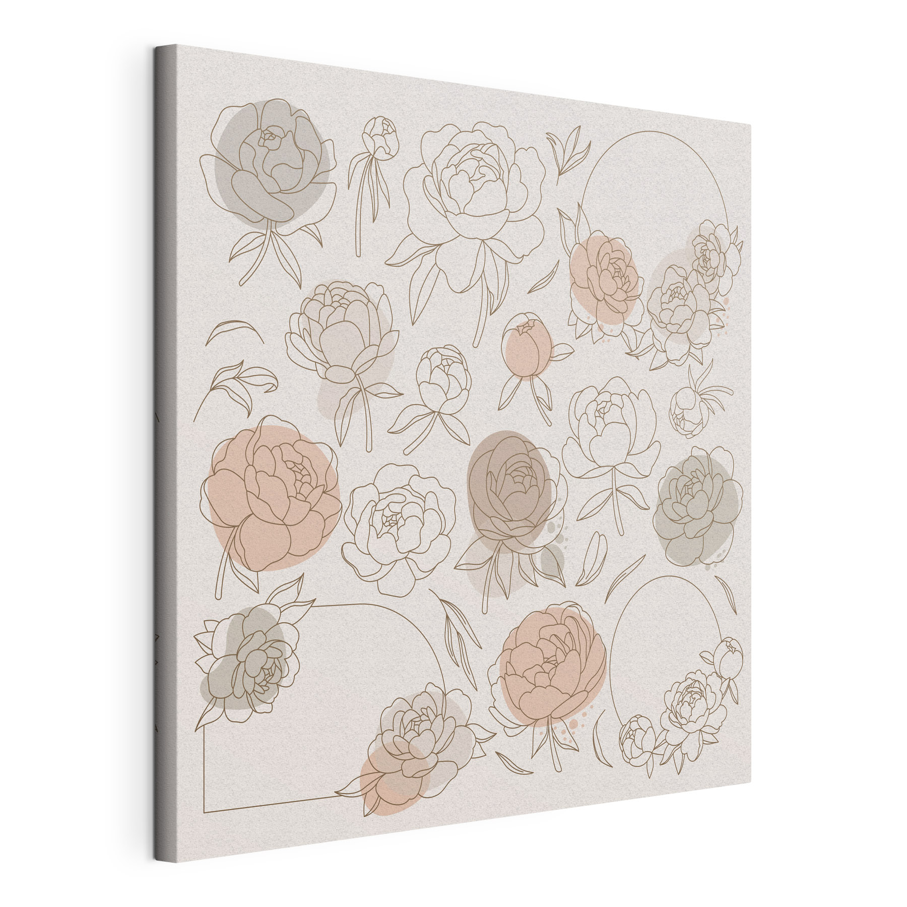 A group of flowers drawn on a white background A group of flowers drawn on a white background