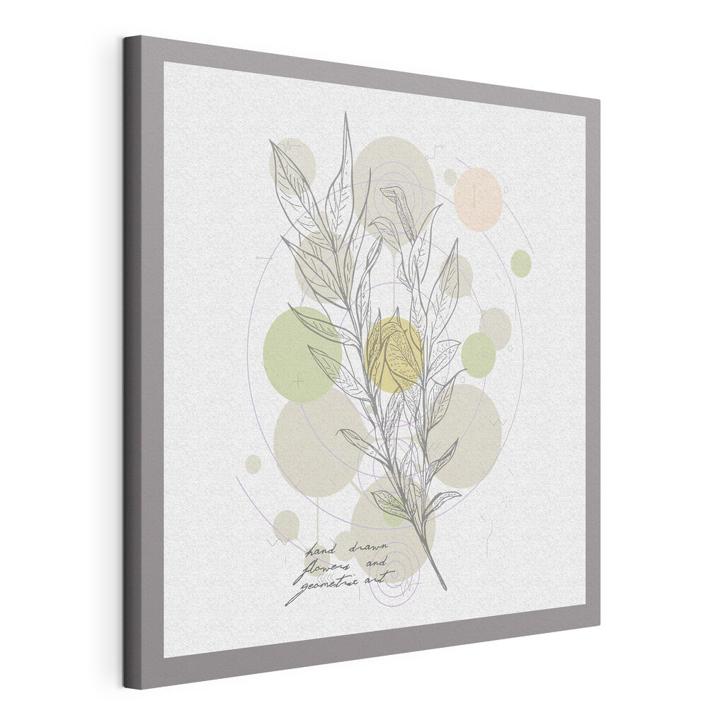 A drawing of a plant A drawing of a plant