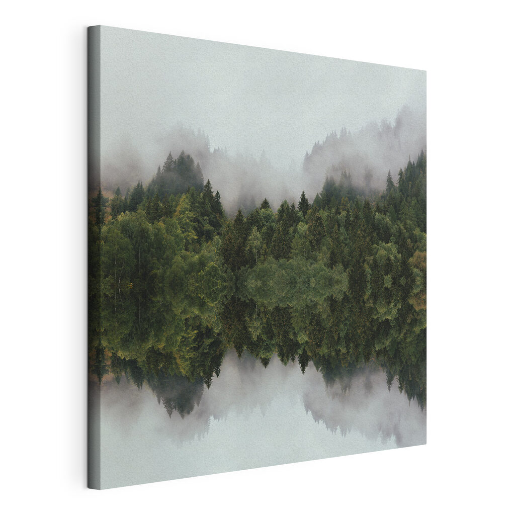 A reflection of trees in the water A reflection of trees in the water