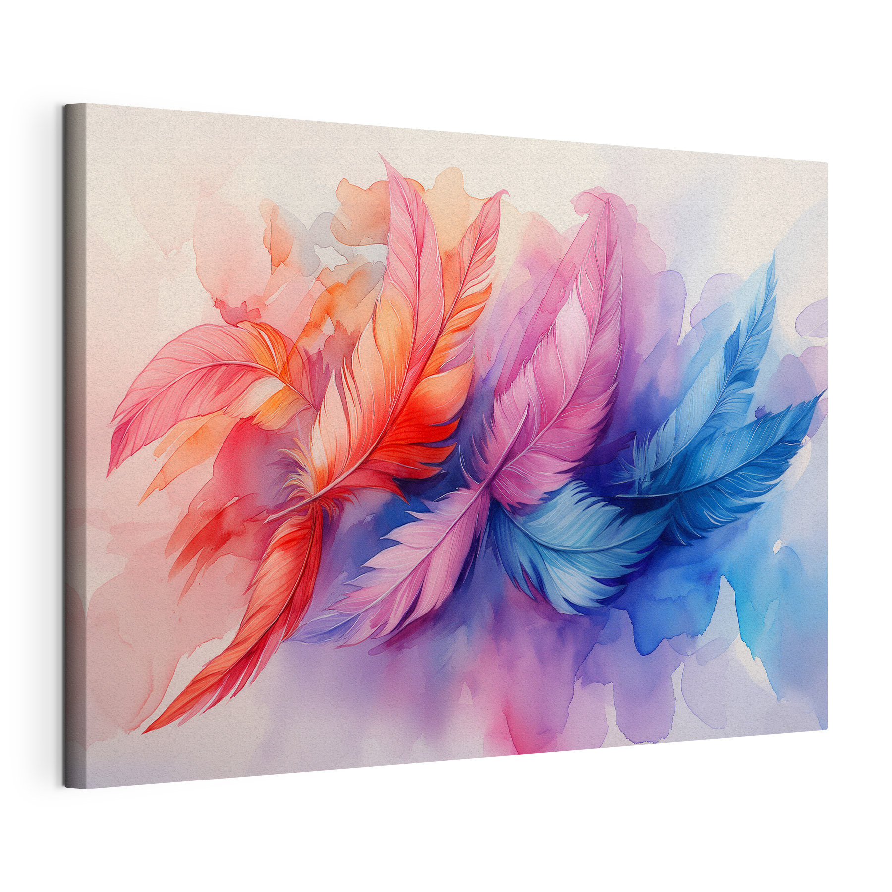 A colorful feathers on a white background