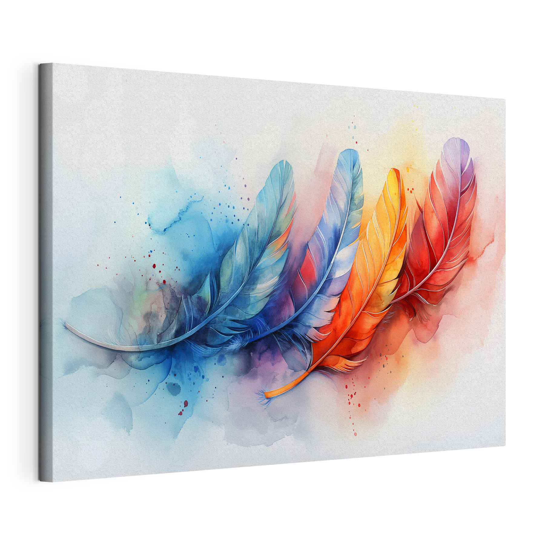 A colorful feathers on a white background
