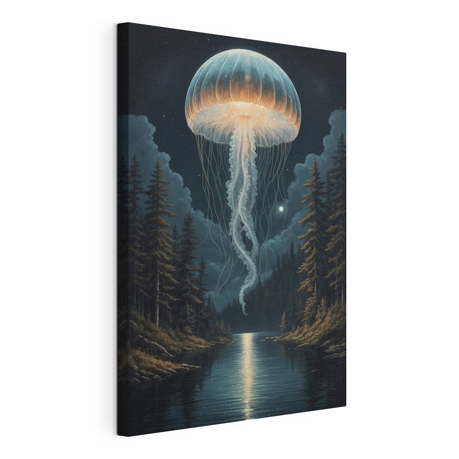 A jellyfish in the sky A jellyfish in the sky