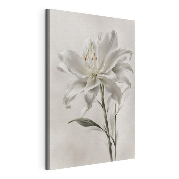 Quadri Quadri Un fiore bianco con foglie verdi (COD: s38190)
