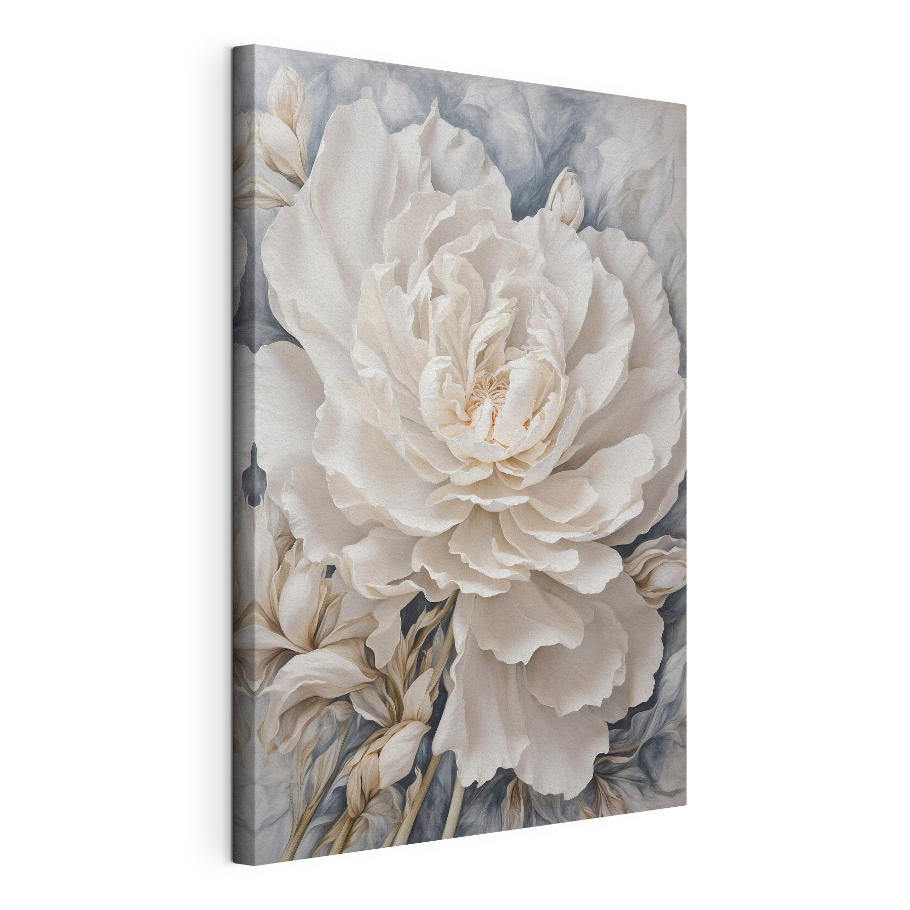 Elegant white peony in soft hues Elegant white peony in soft hues