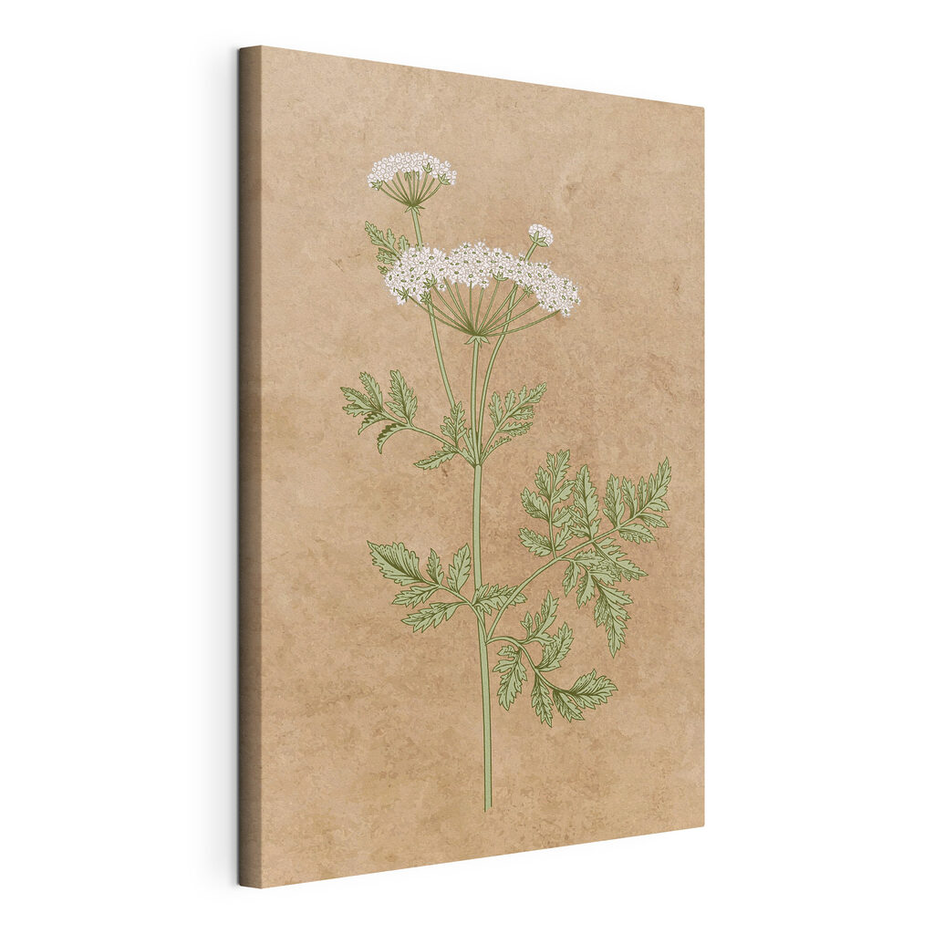 A drawing of a plant A drawing of a plant