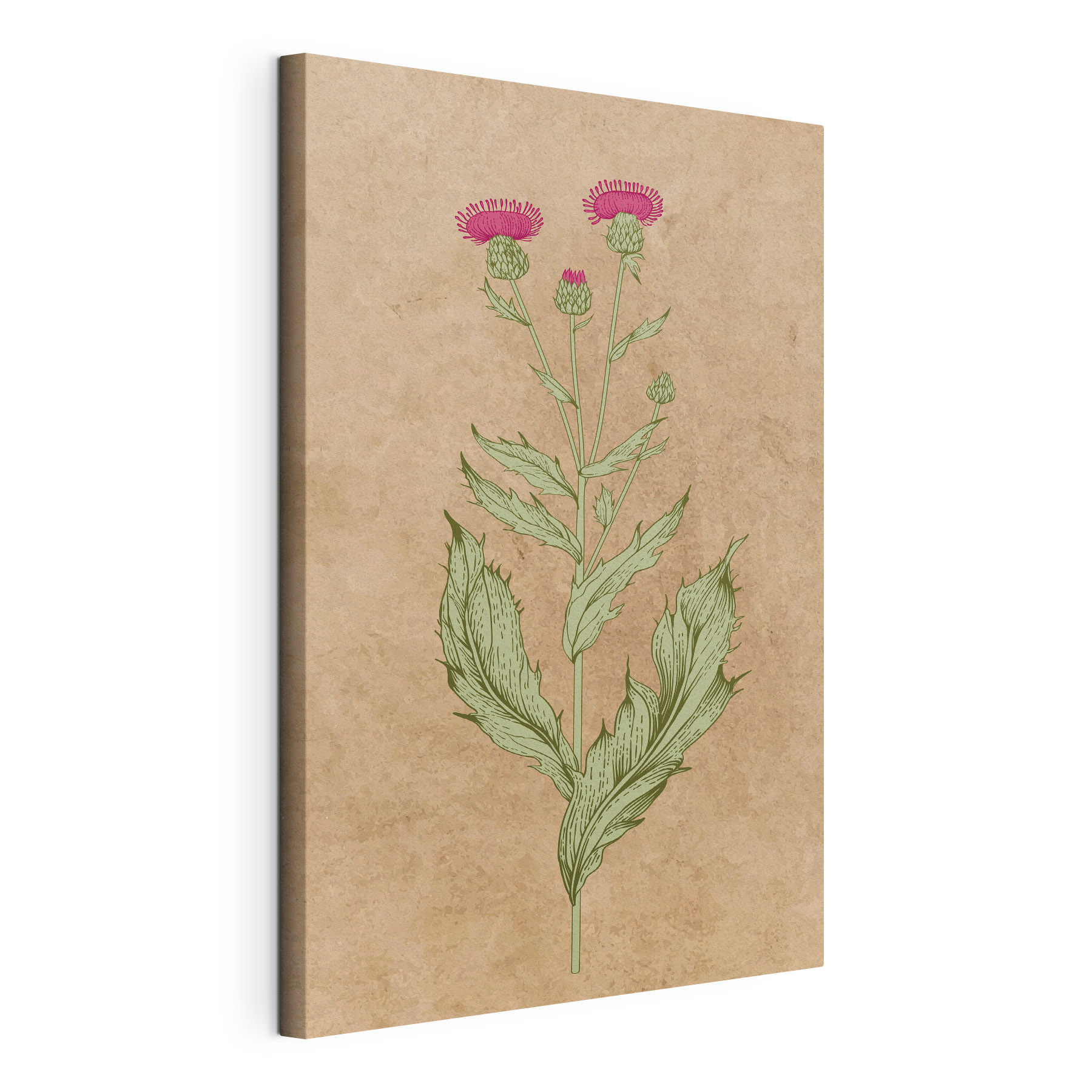 A drawing of a flower A drawing of a flower