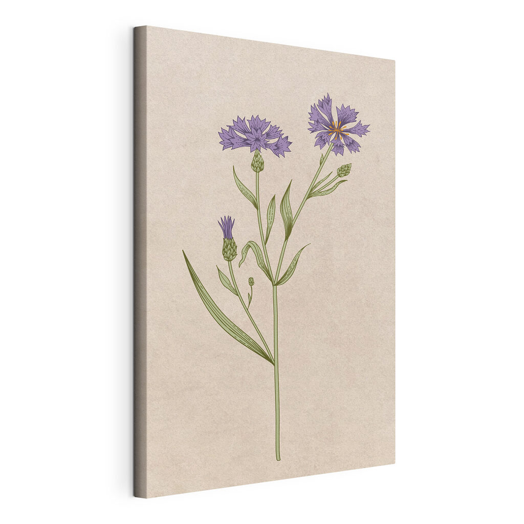 A drawing of a flower A drawing of a flower