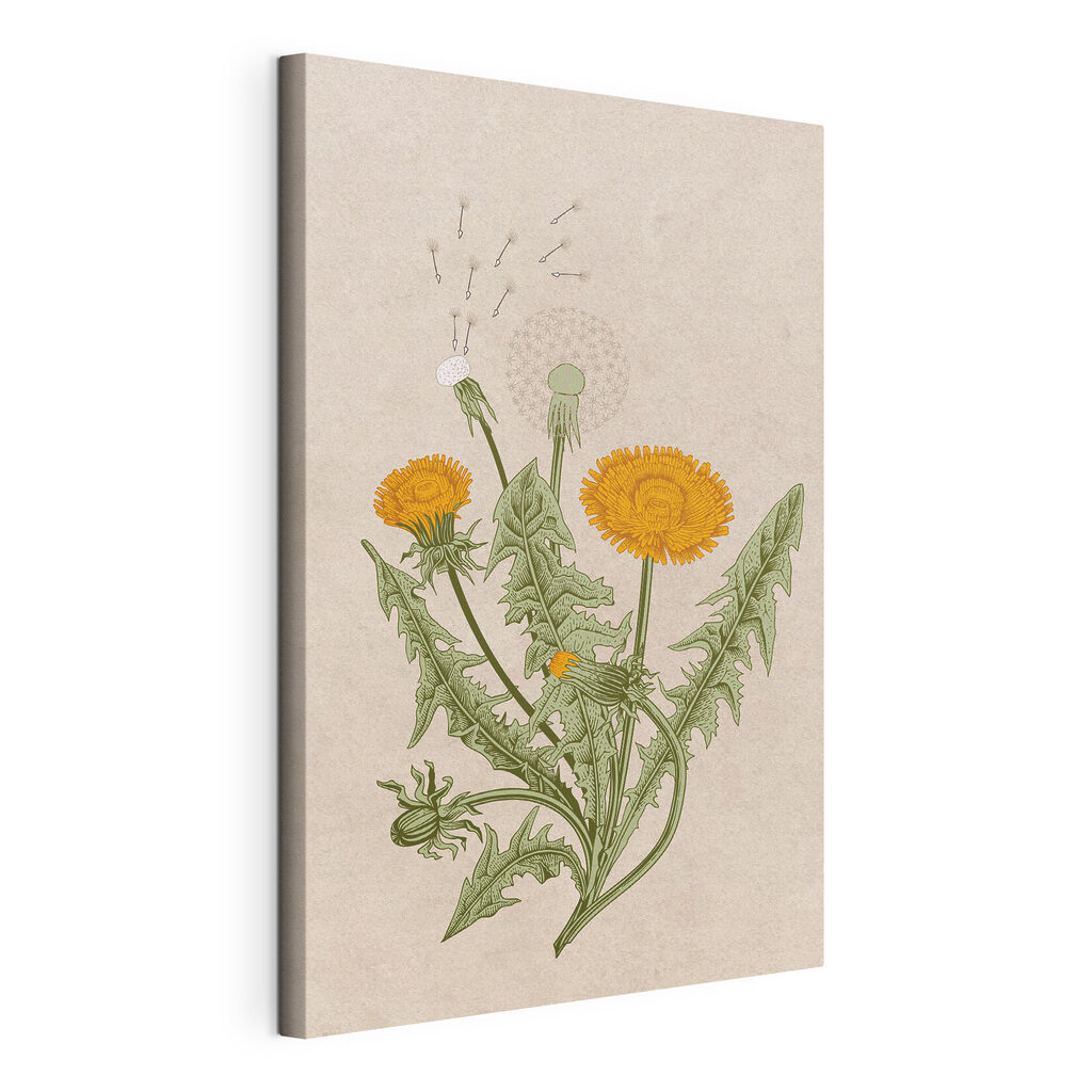 A drawing of dandelions and dandelions A drawing of dandelions and dandelions