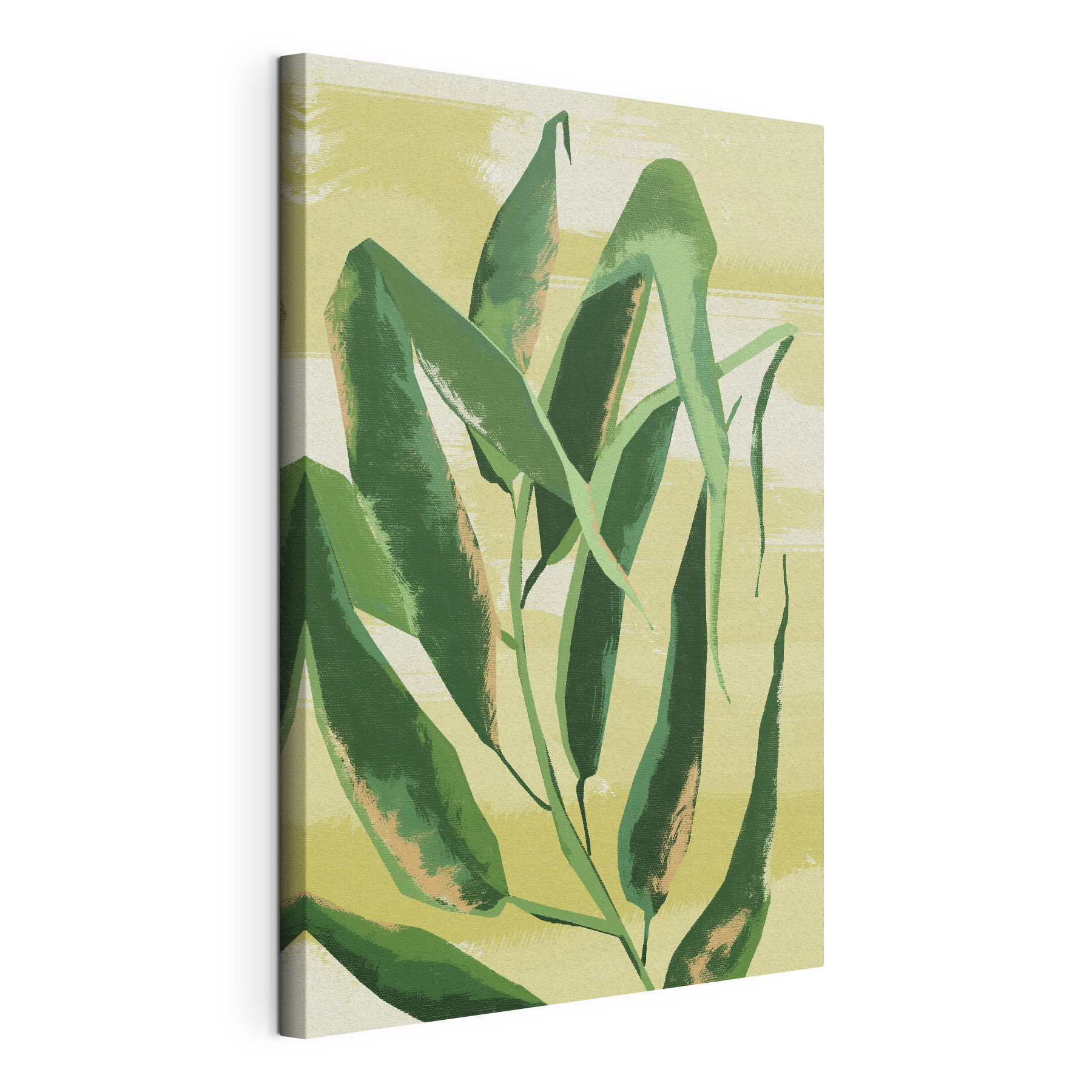 Lush green leaves on a soft backdrop Lush green leaves on a soft backdrop