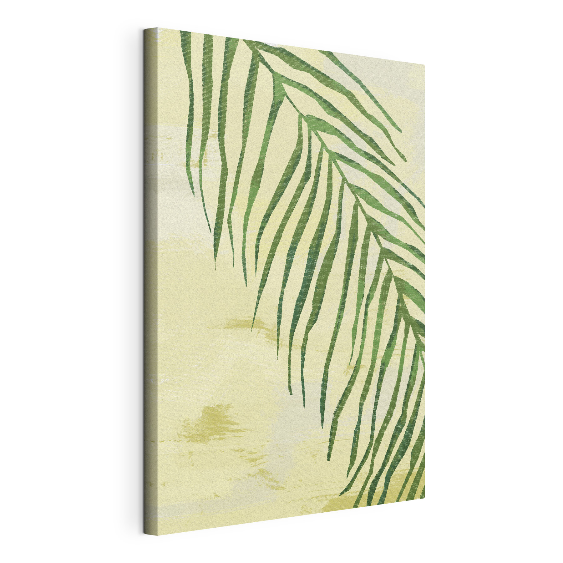 A green leaf on a white background A green leaf on a white background