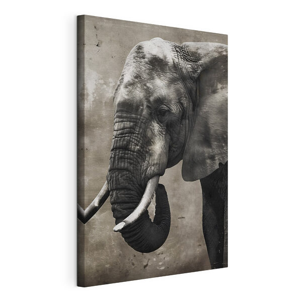 Un elefante con le zanne Quadri Un elefante con le zanne