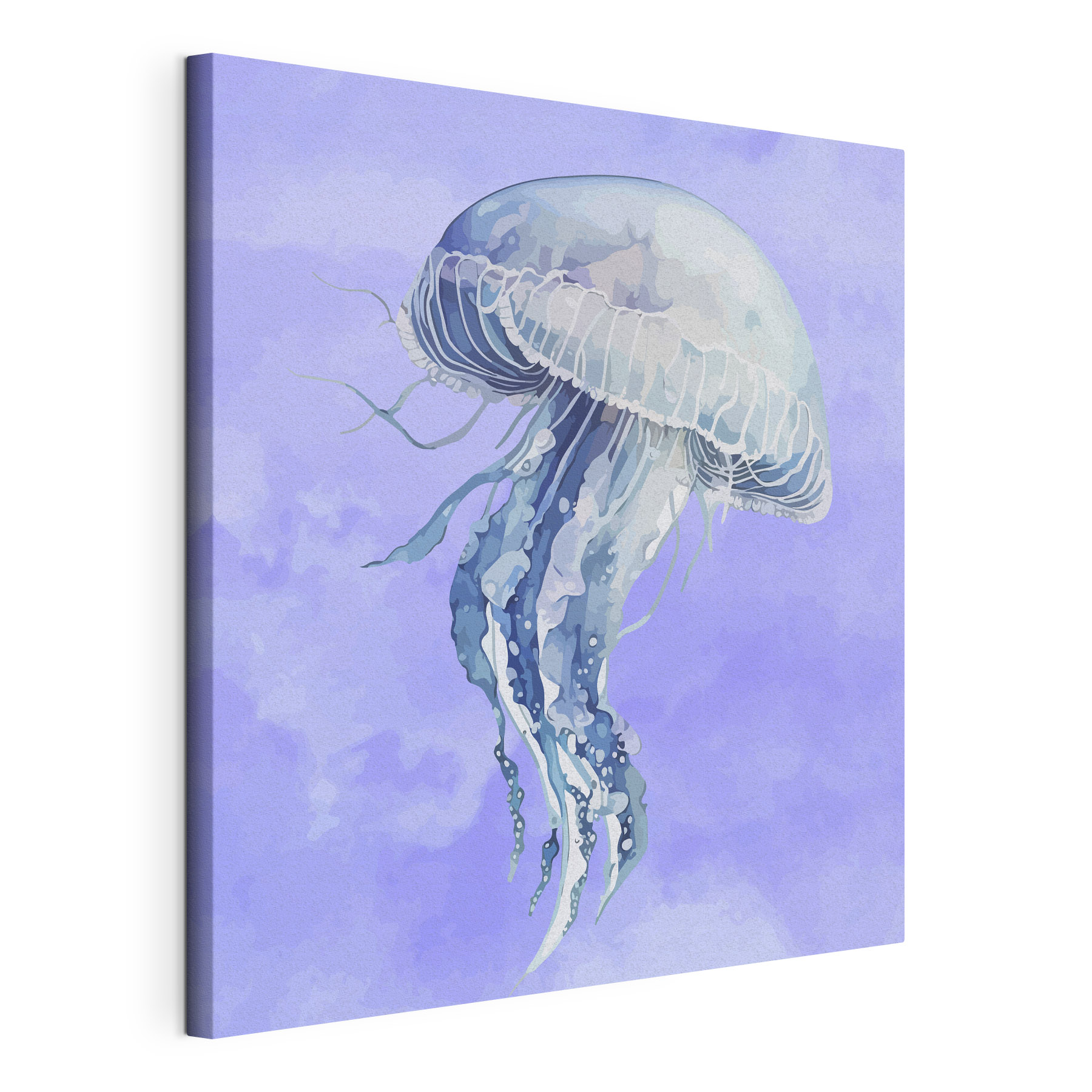 A jellyfish in the sky A jellyfish in the sky