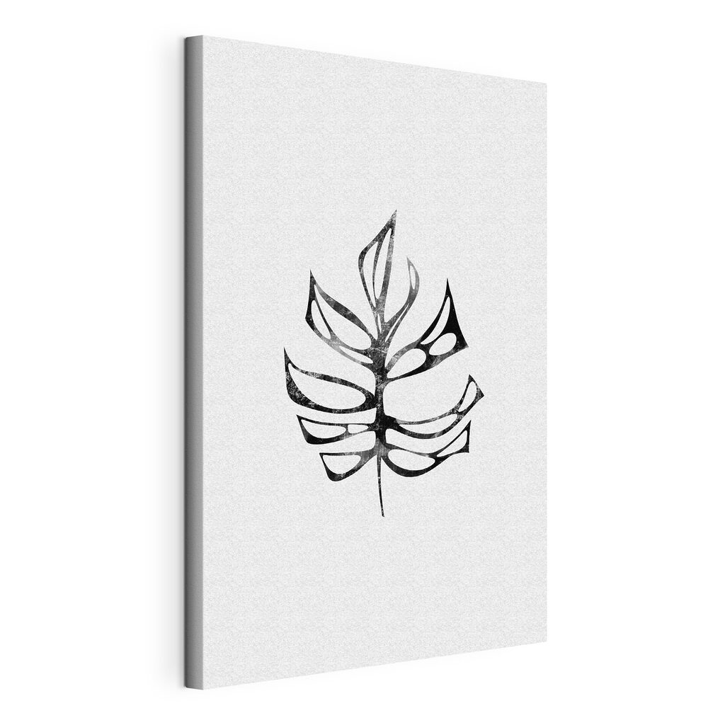 A black and white leaf