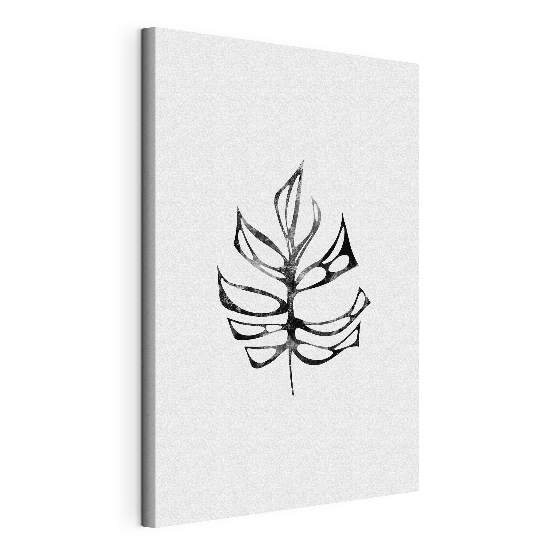 A black and white leaf