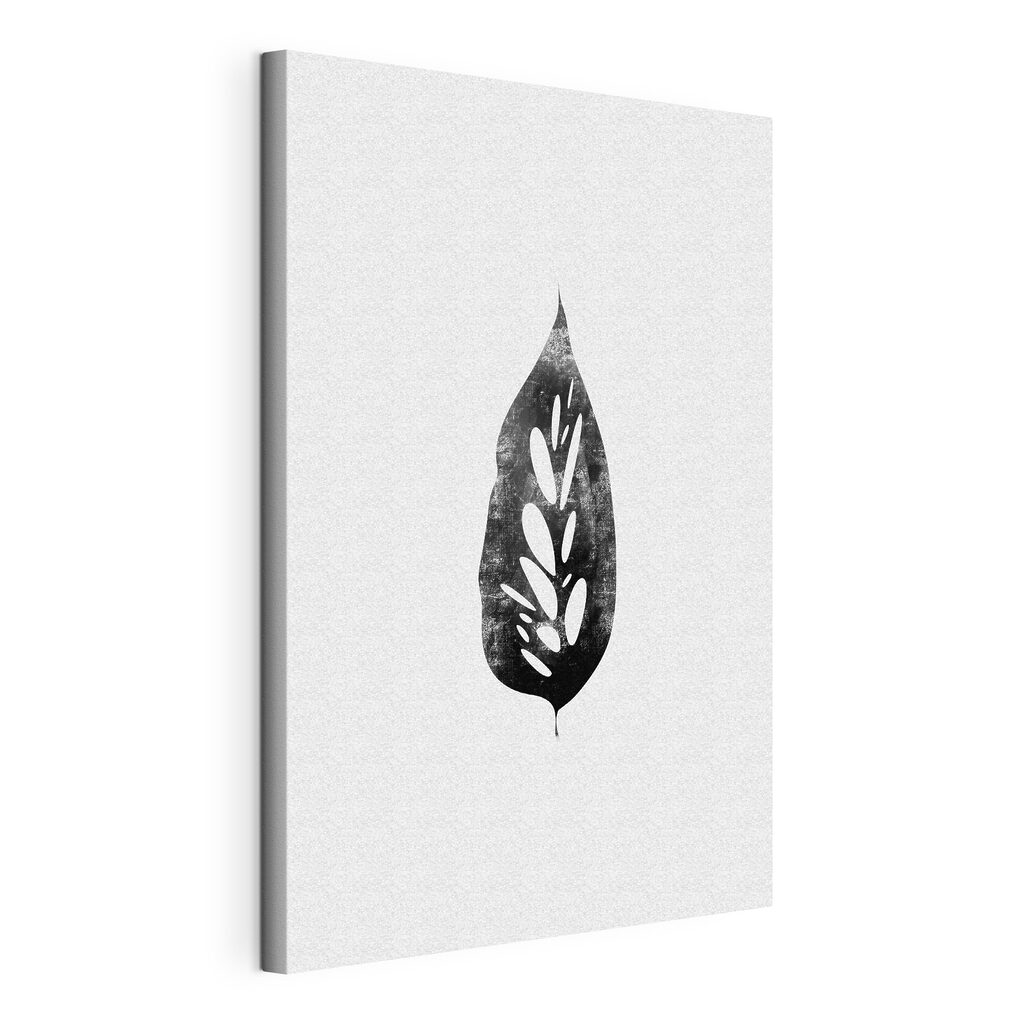 A black and white leaf