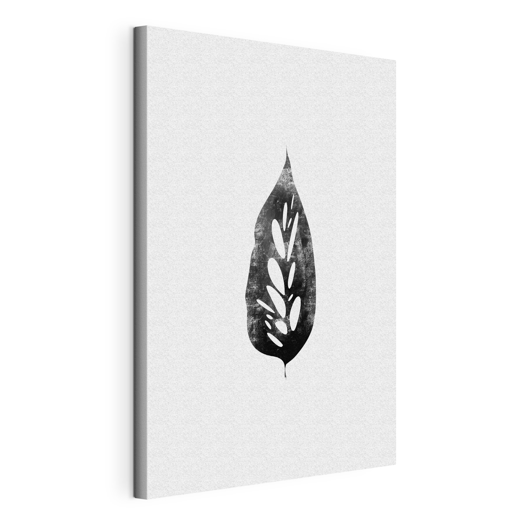 A black and white leaf