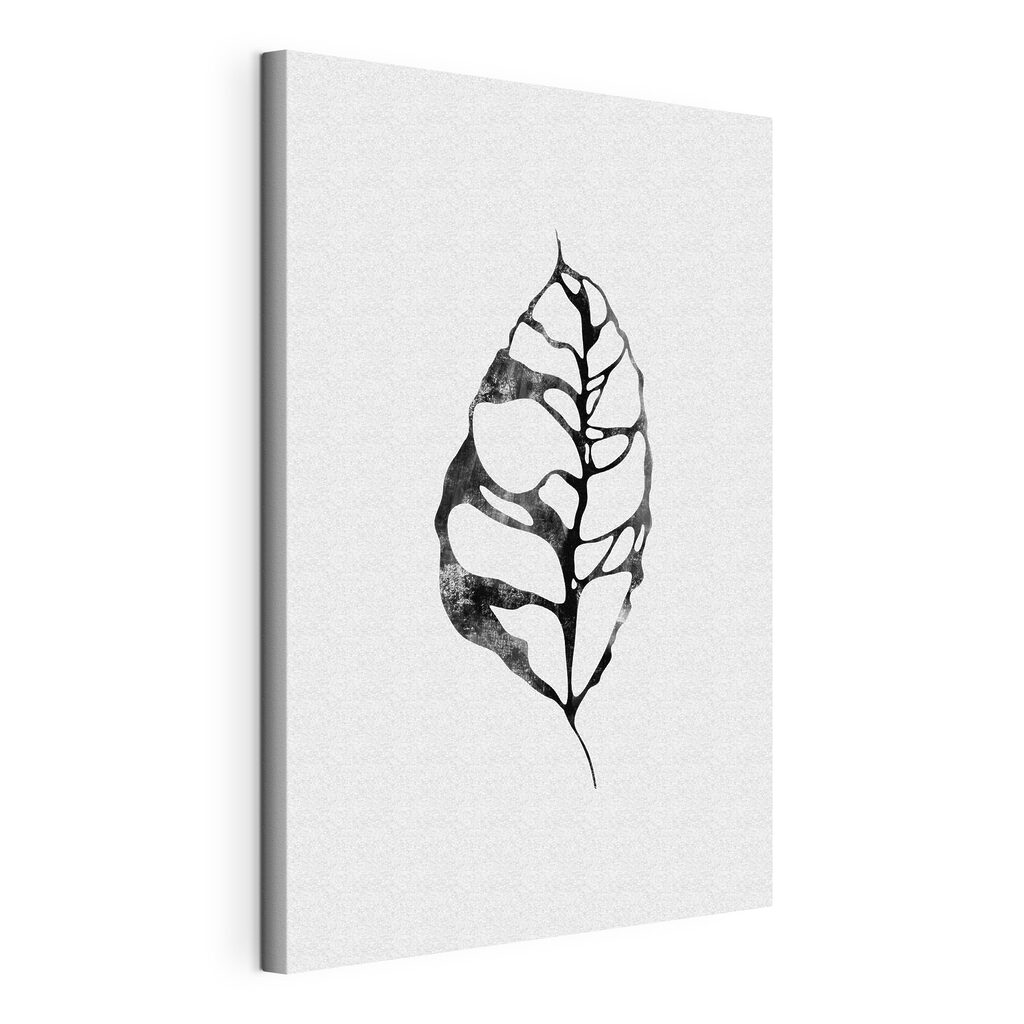 A black and white leaf A black and white leaf
