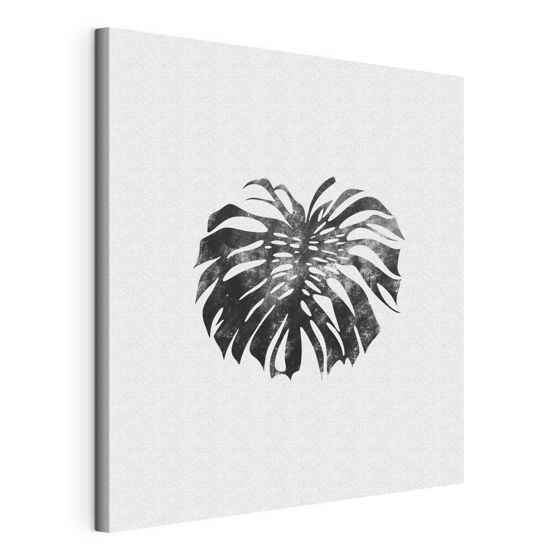 A black and white image of a leaf A black and white image of a leaf
