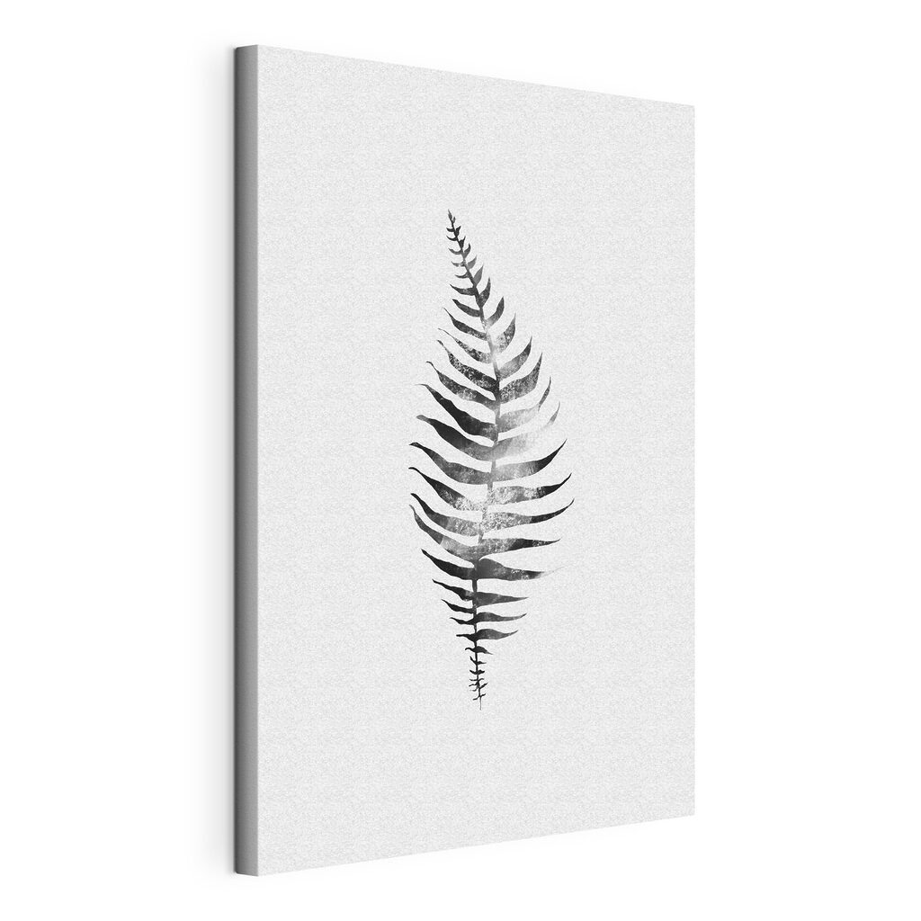 A black and white image of a fern leaf A black and white image of a fern leaf