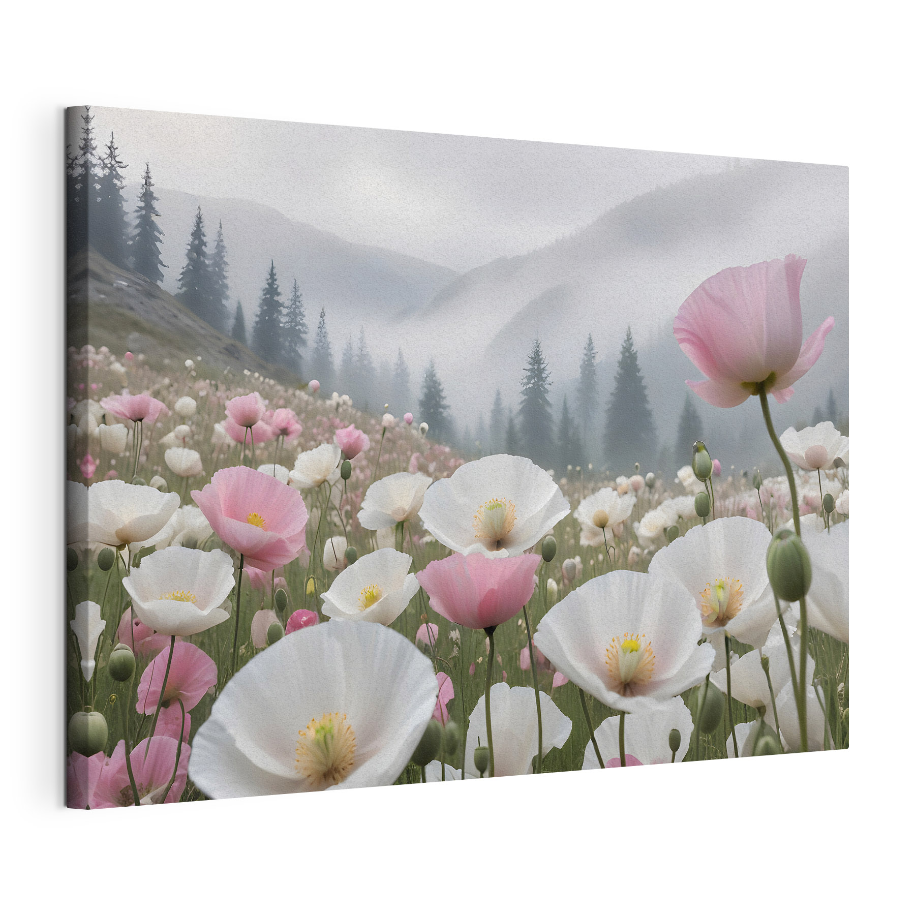 A field of pink and white flowers A field of pink and white flowers