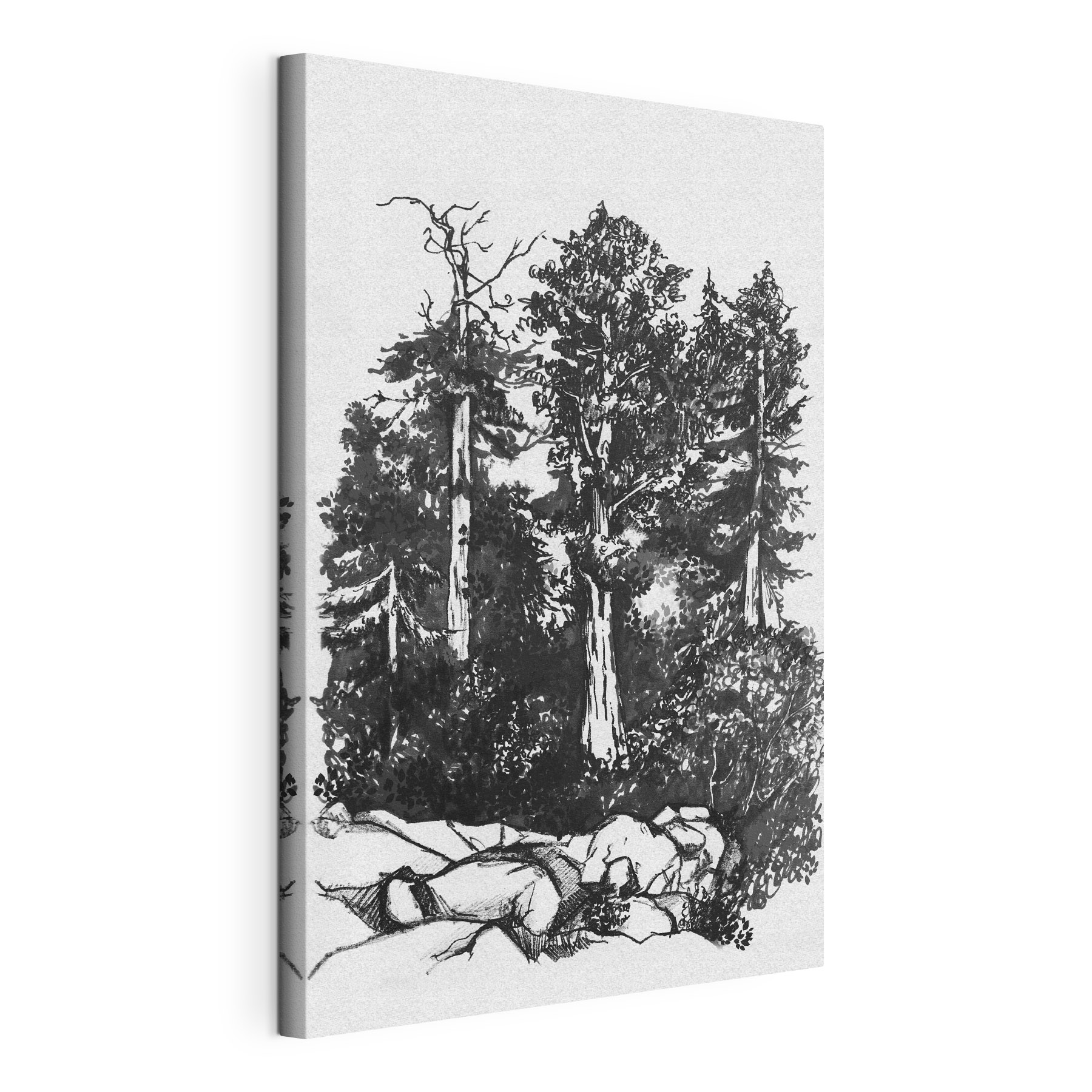 A drawing of trees and bushes