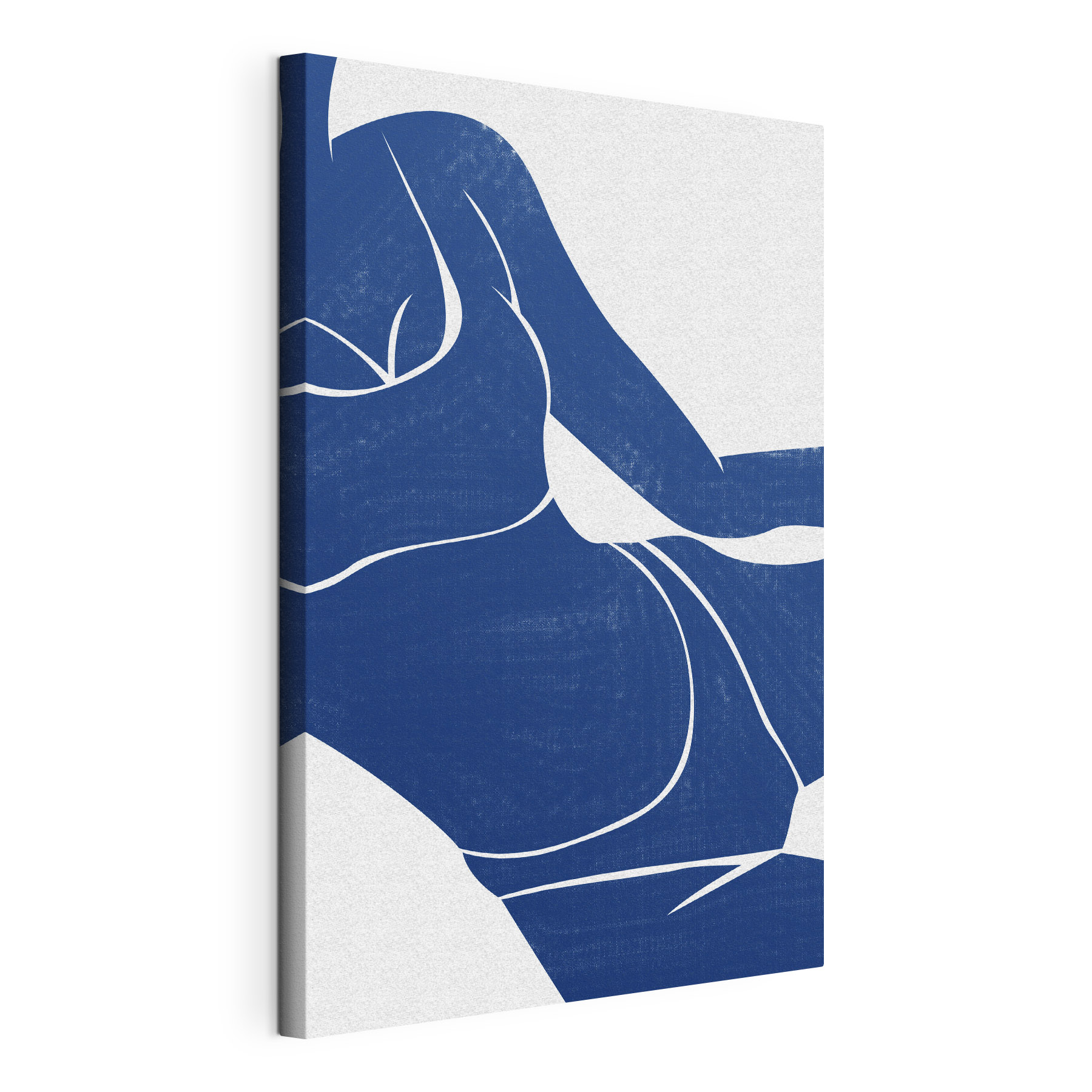 A blue and white drawing of a woman's body A blue and white drawing of a woman's body