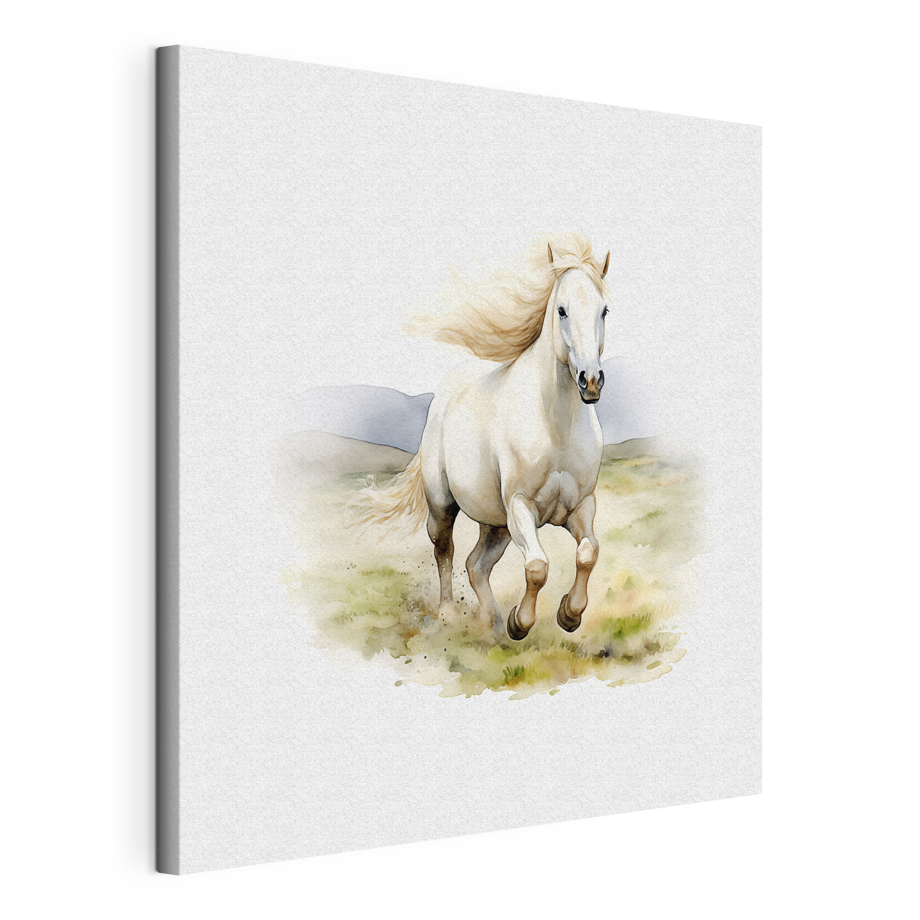 A white horse running in a field A white horse running in a field