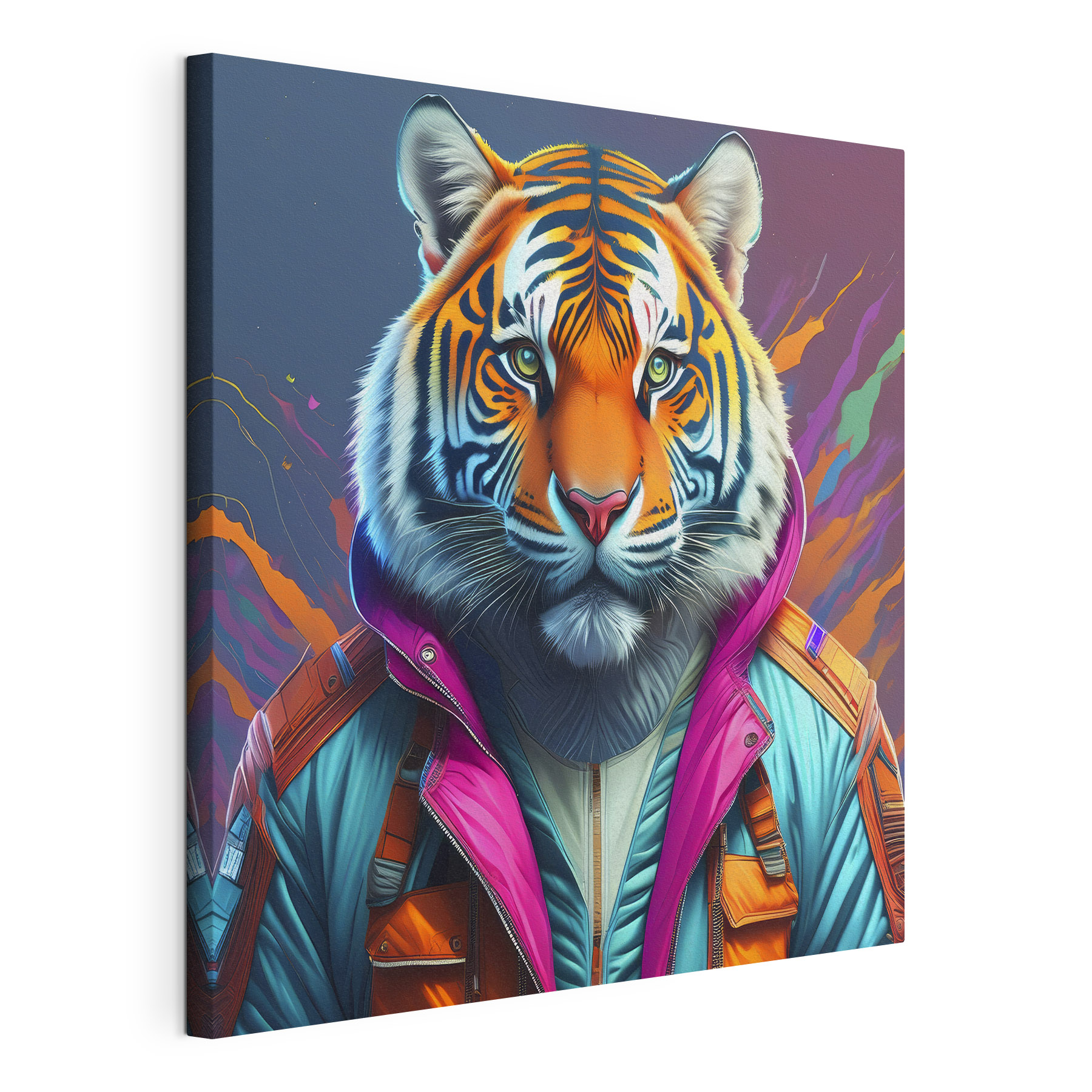 A tiger in a jacket A tiger in a jacket