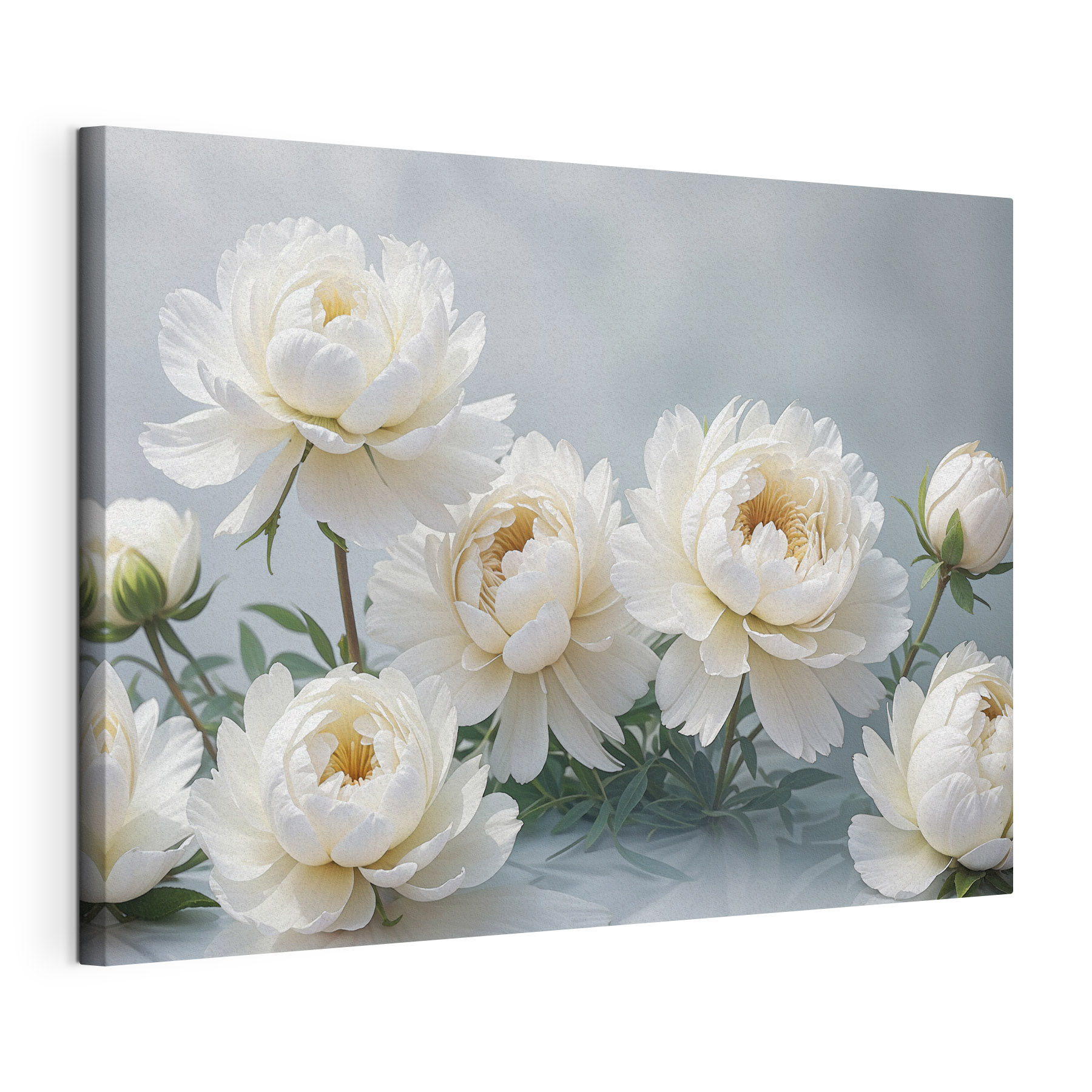 A group of white flowers A group of white flowers