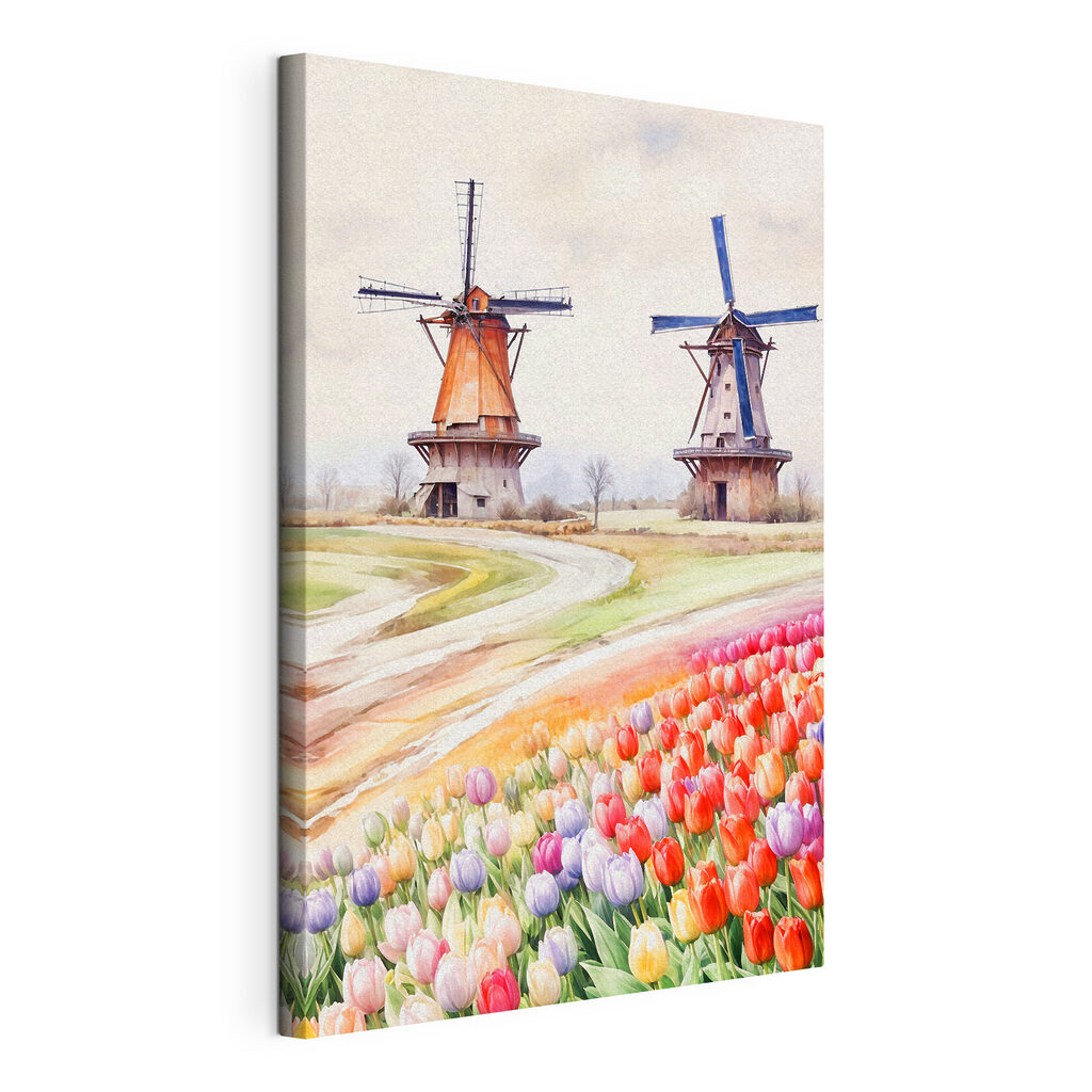 A windmills in a field of tulips A windmills in a field of tulips