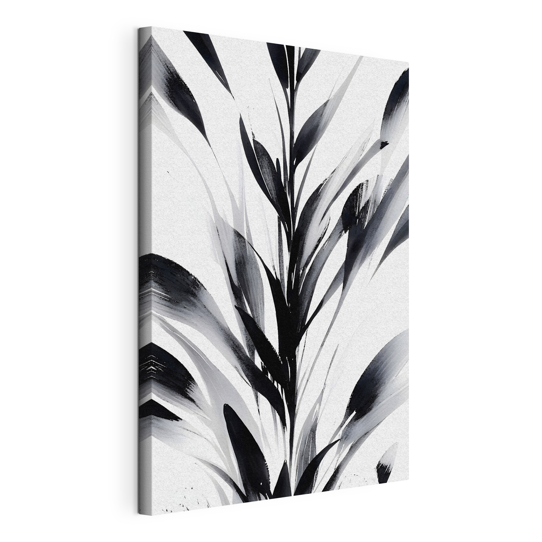 A black and white image of a plant A black and white image of a plant