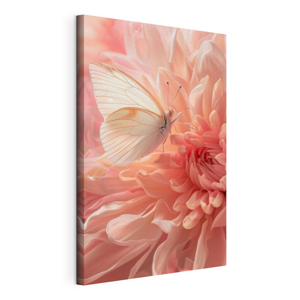 A butterfly on a flower