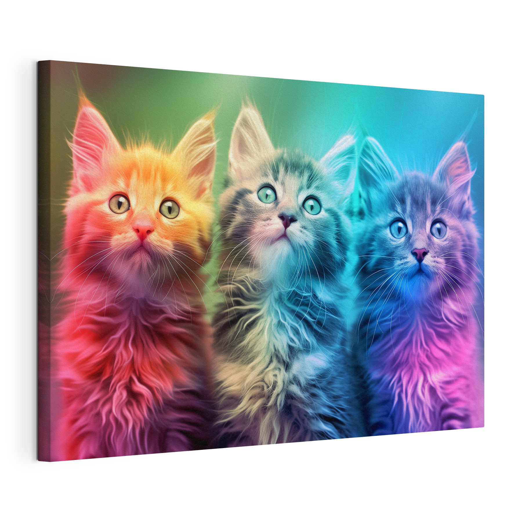 A group of kittens looking up