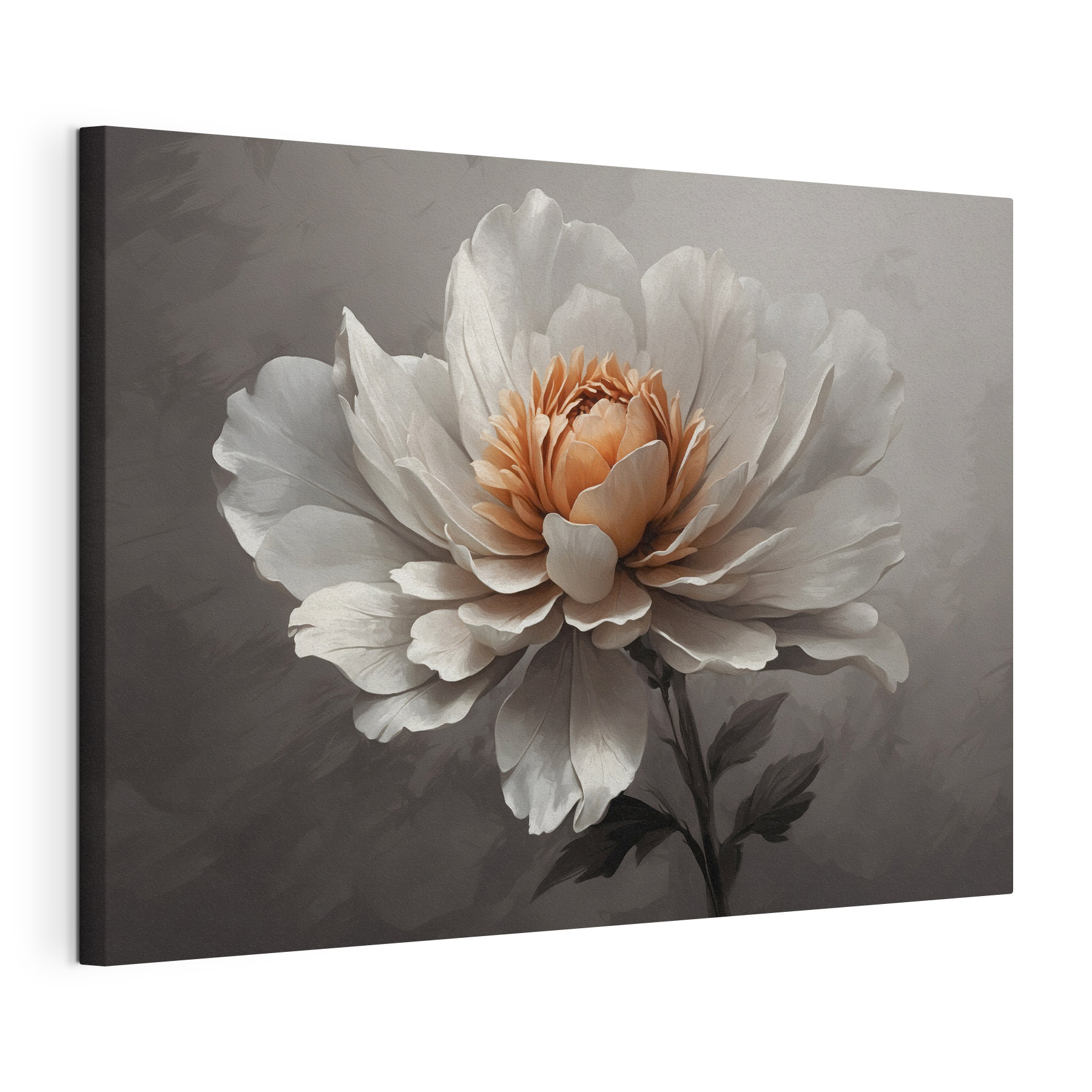 Delicate flower with soft petals Delicate flower with soft petals