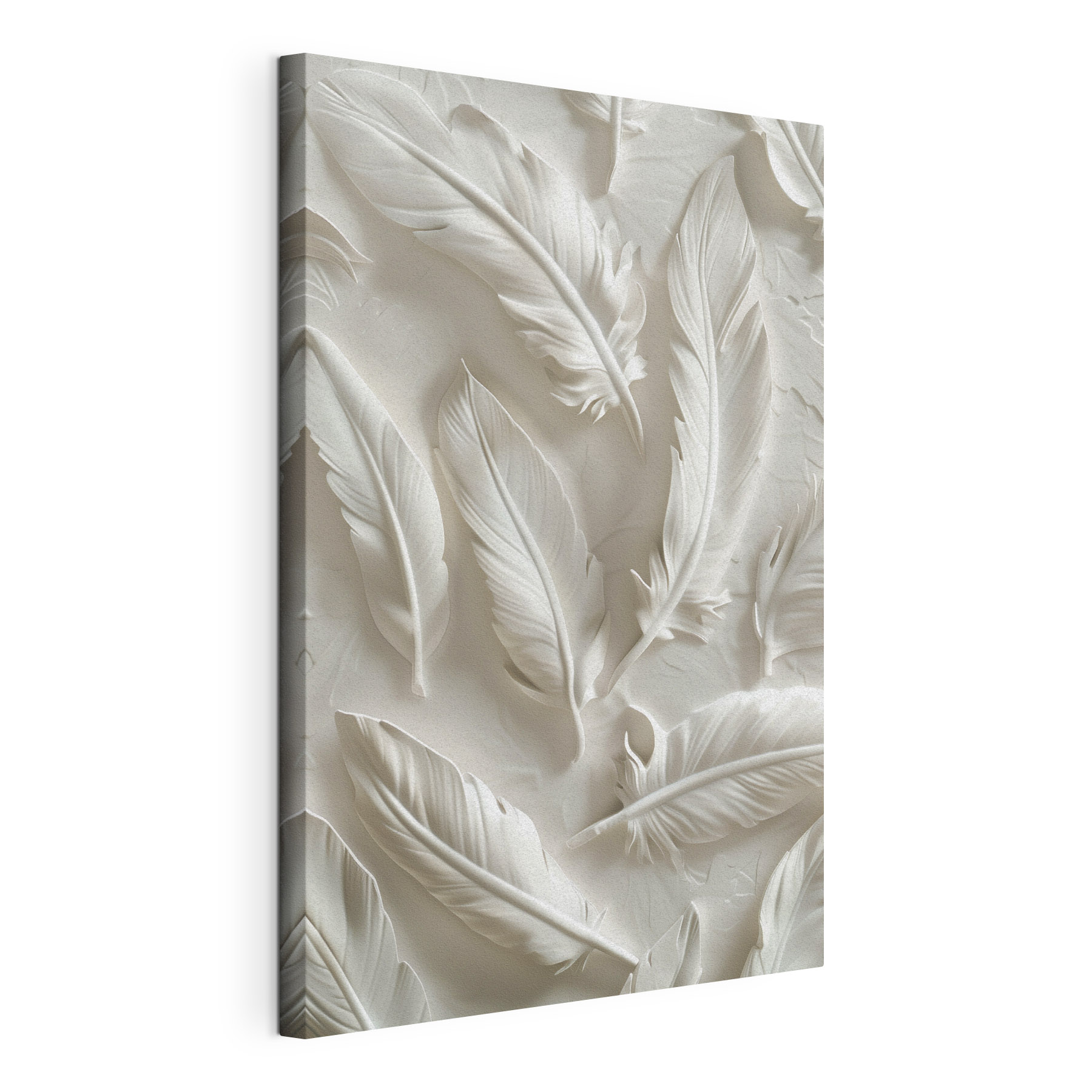 Delicate feathers create serene harmony Delicate feathers create serene harmony