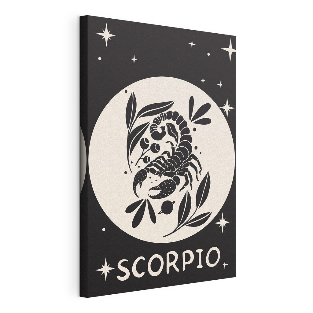 A black and white drawing of a scorpion