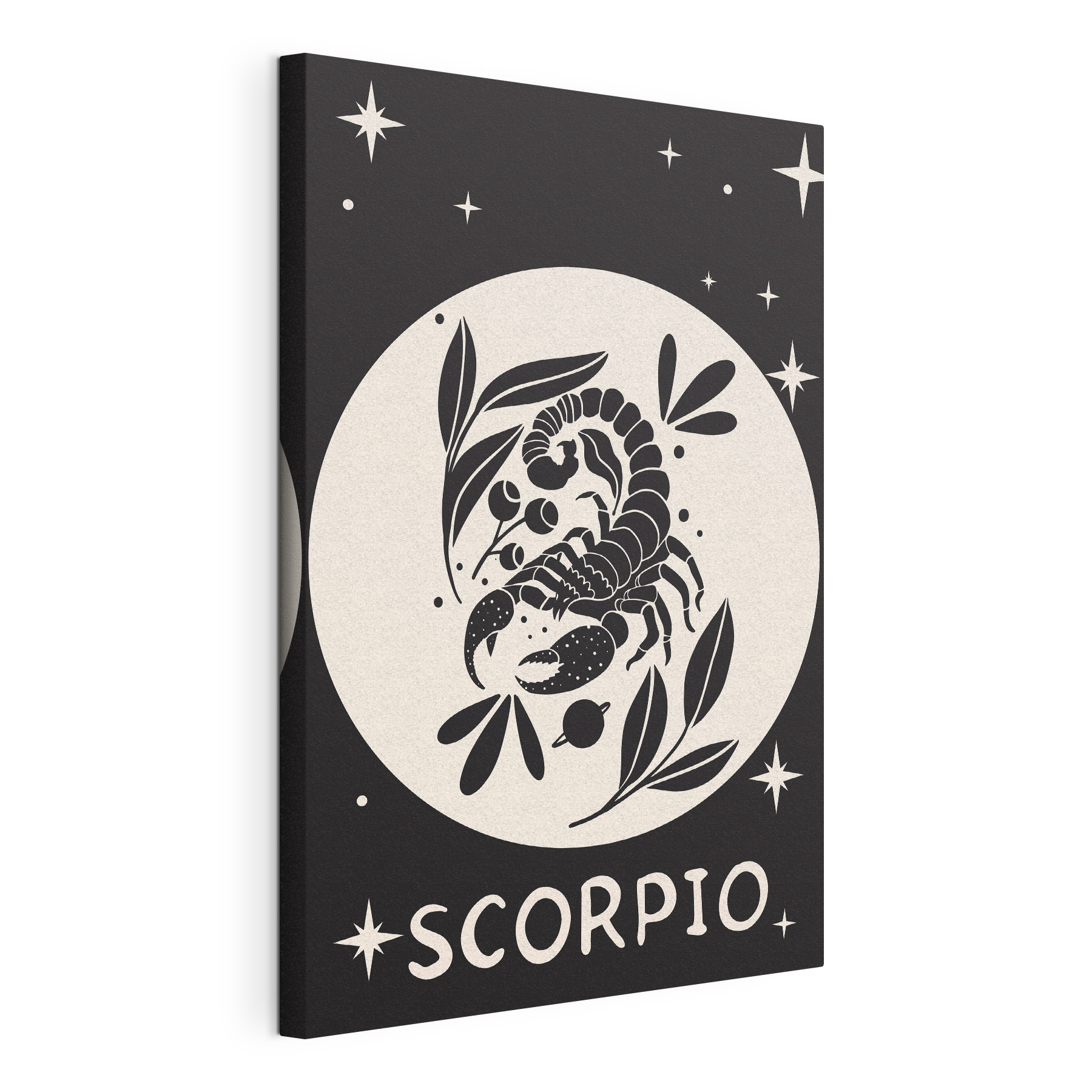 A black and white drawing of a scorpion