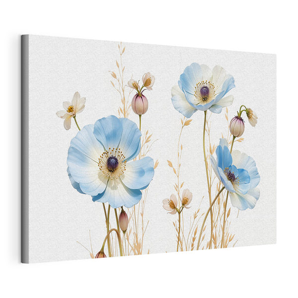 Quadri Quadri Composizione di fiori blu e bianchi (COD: s39390)